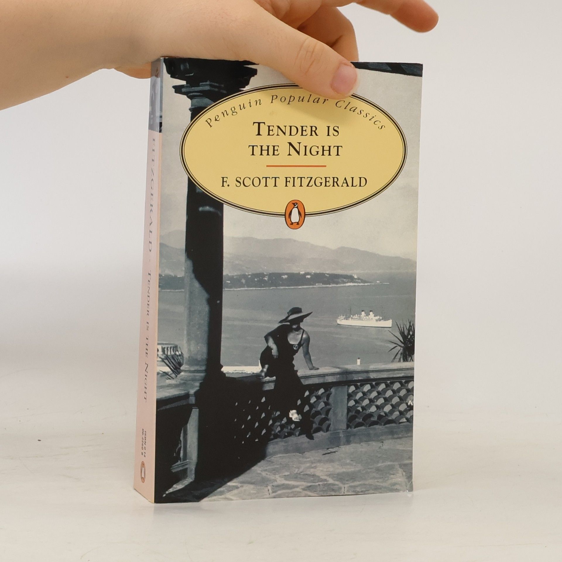 Francis Scott Fitzgerald Tender is the Night