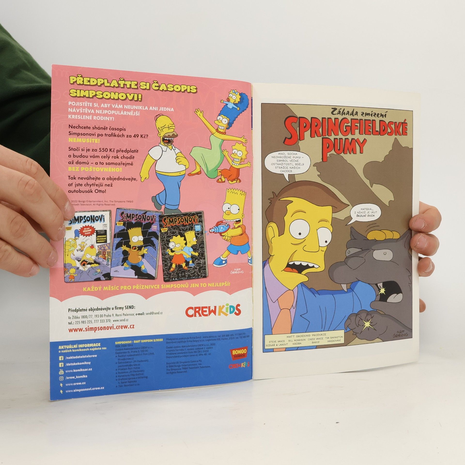 Matt Groening Simpsonovi 3/2022