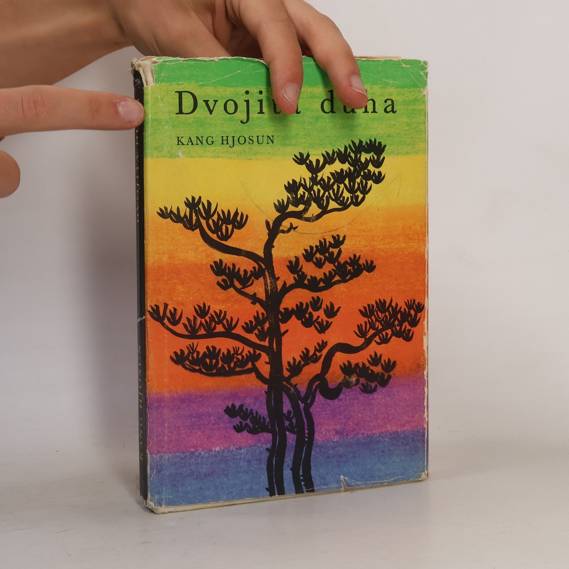 Kang Hjosun Dvojitá duha