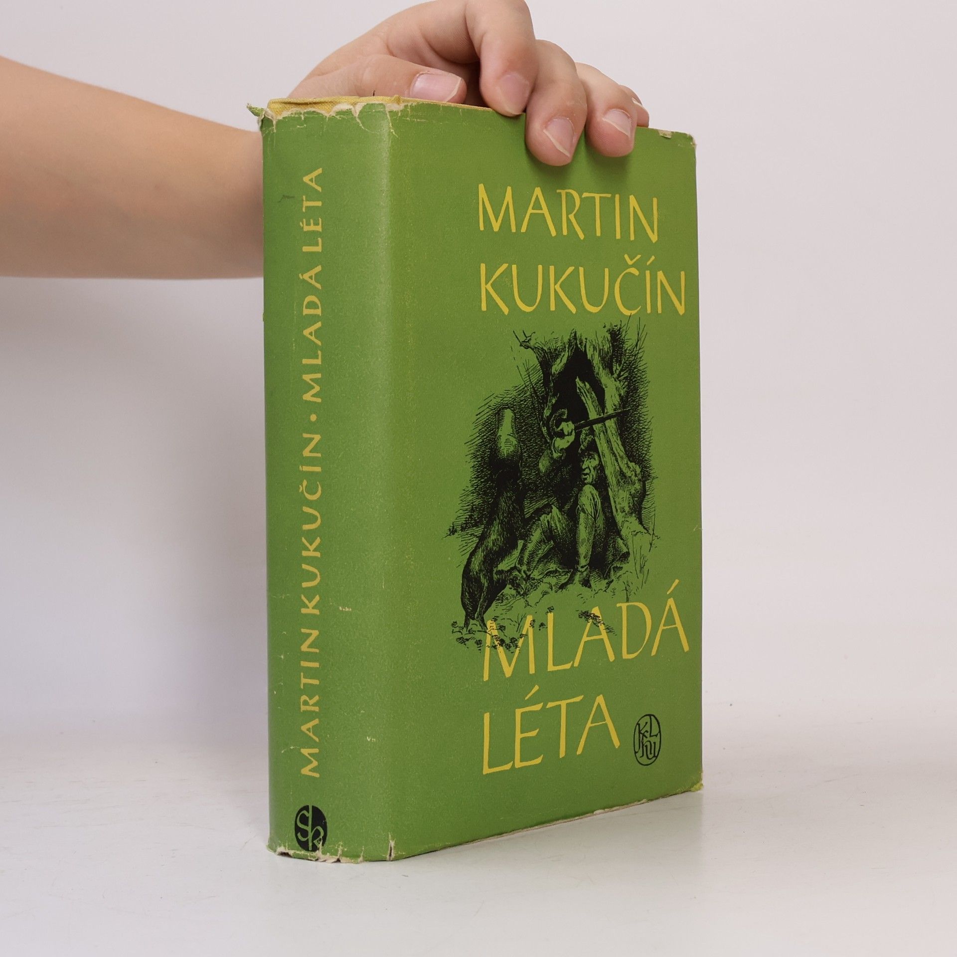 Martin Kukučín Mladá léta