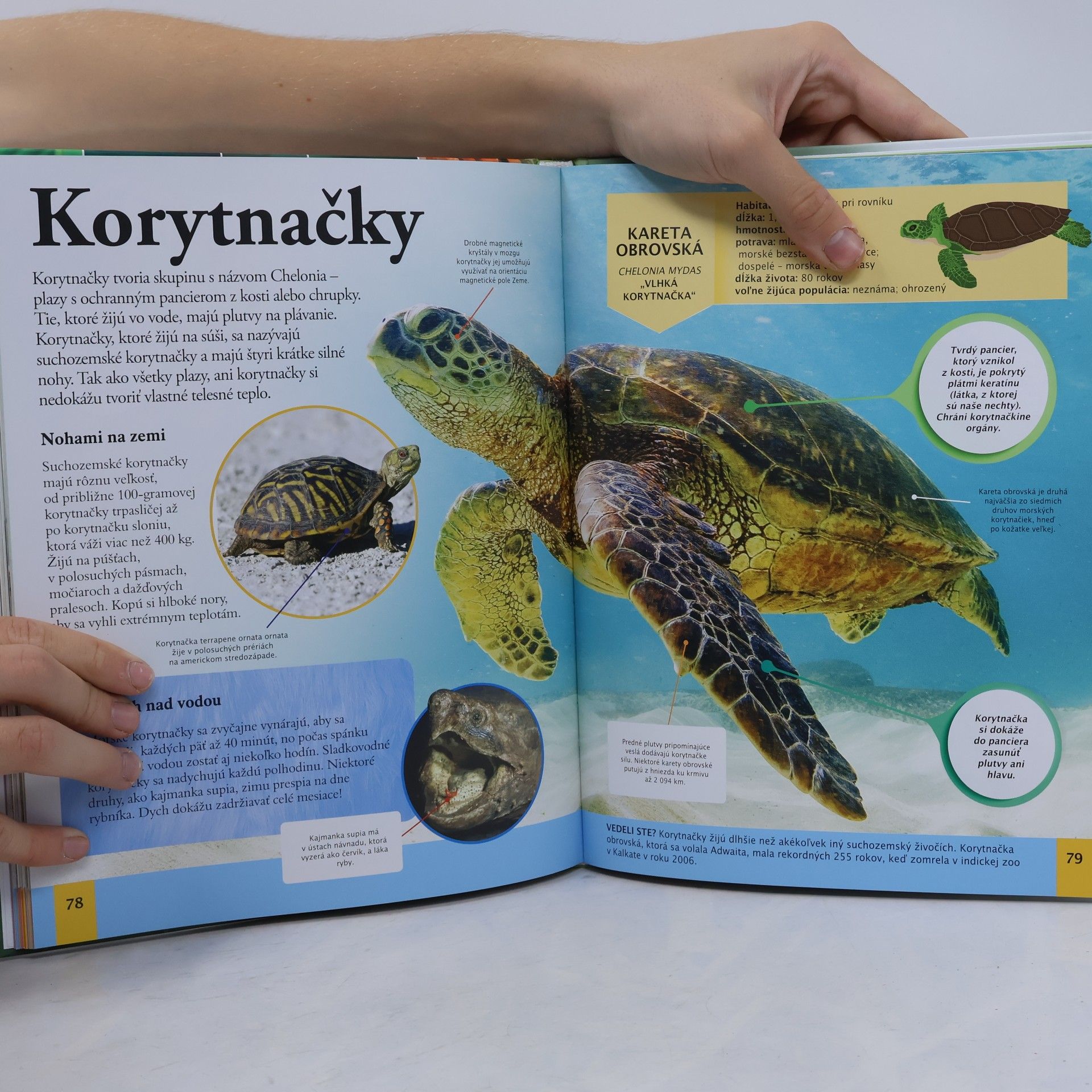 Kolektiv autorů Detská encyklopédia zvierat