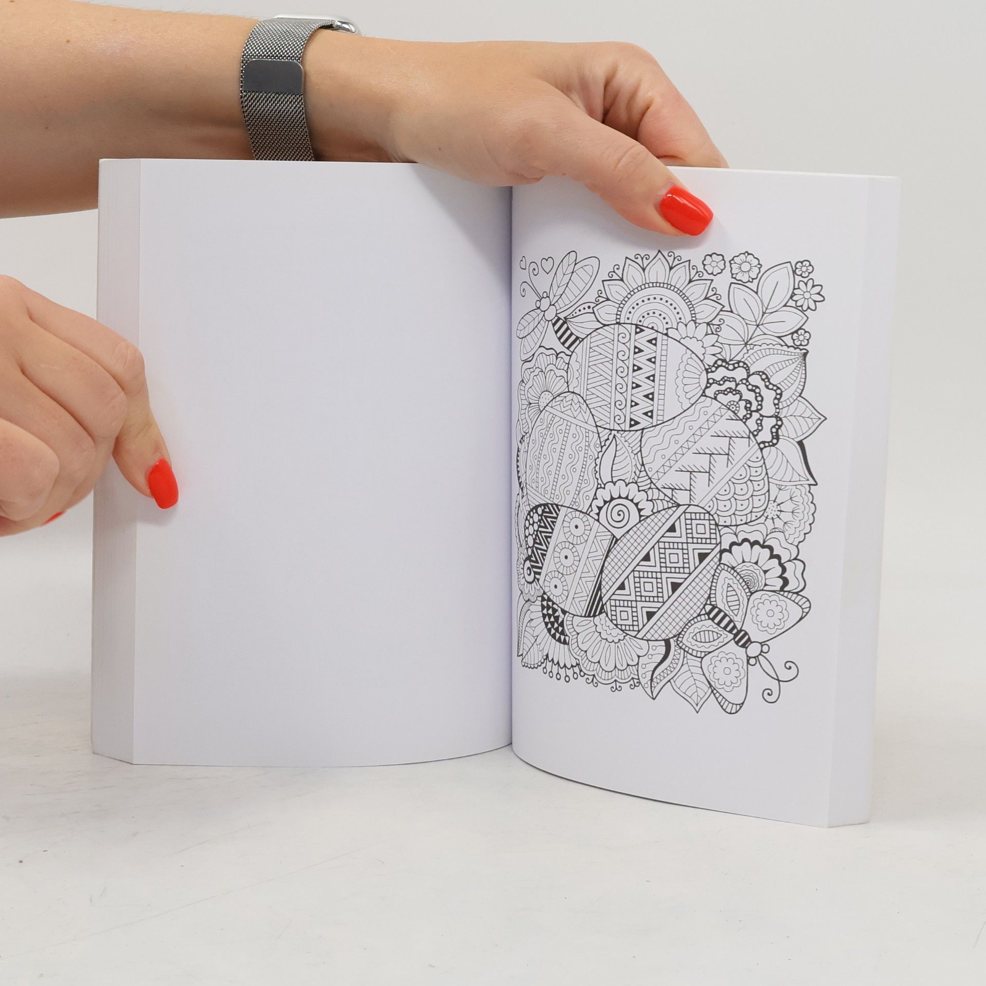 Various authors Zápisník - Omalovánky pro kreativitu