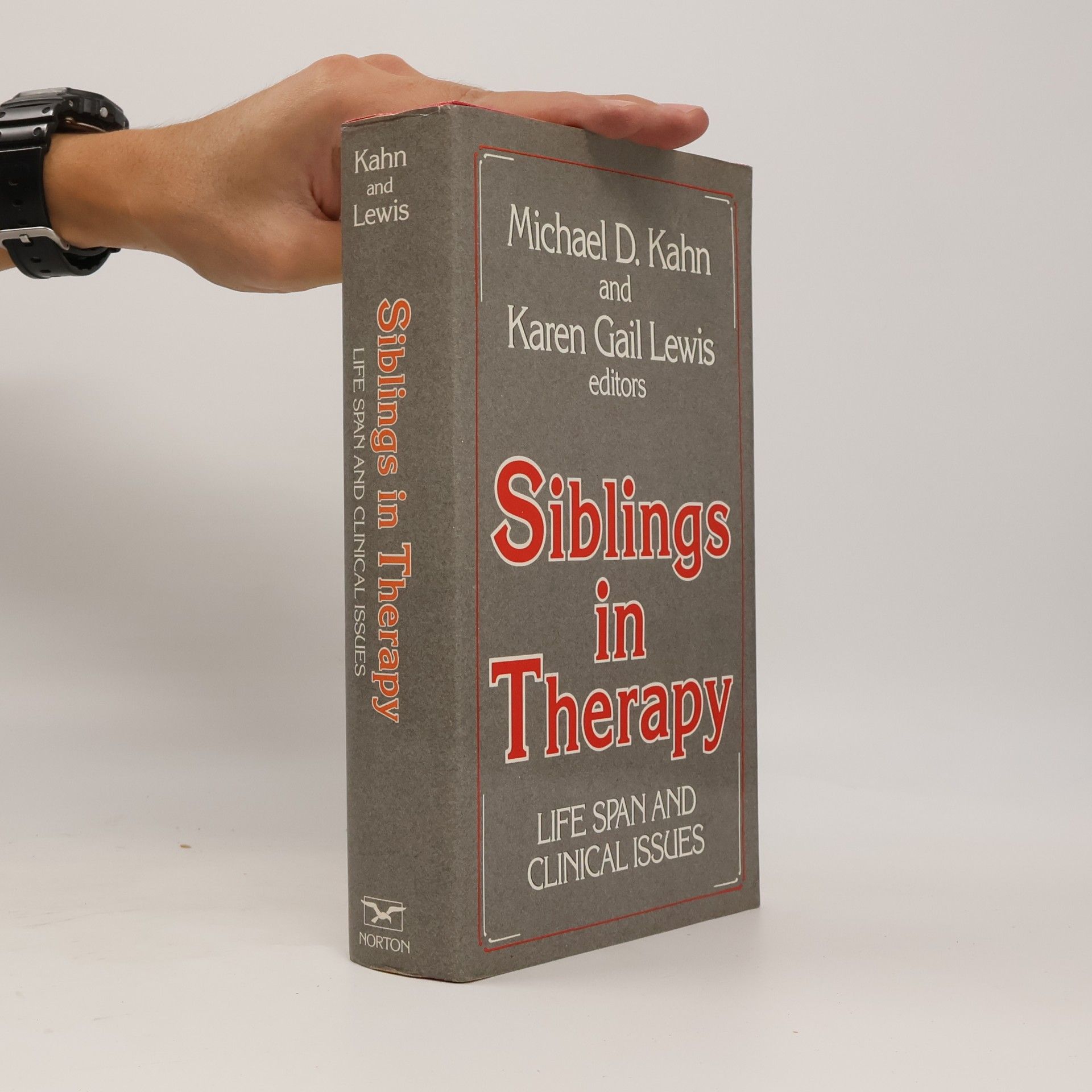 Karen Gail Lewis Siblings in Therapy