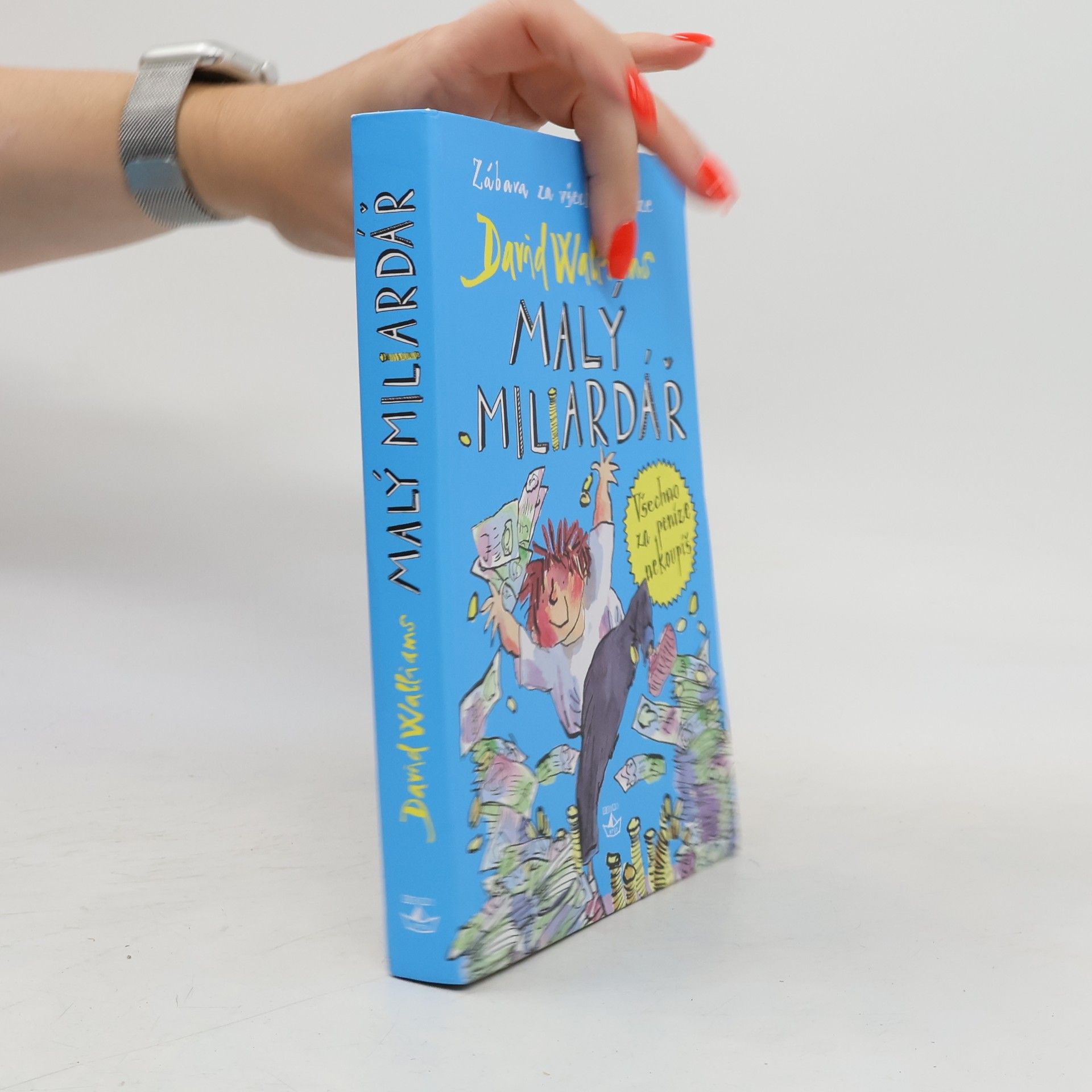 David Walliams Malý miliardář