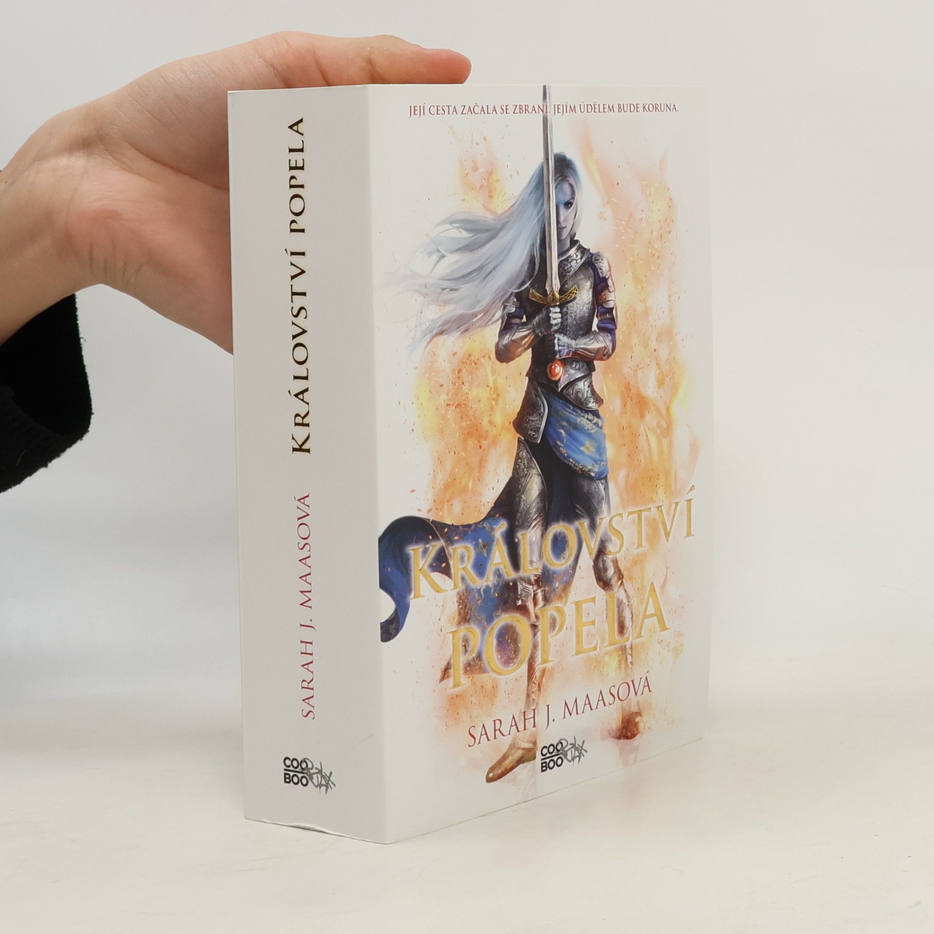 Sarah J. Maas Království popela