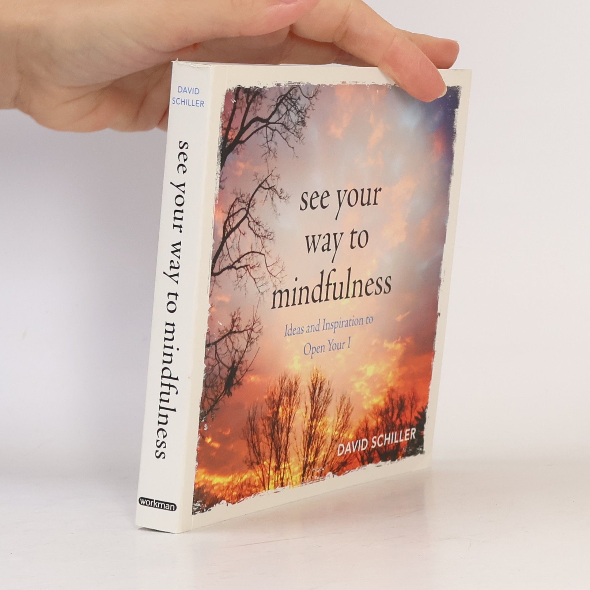 David Schiller See Your Way to Mindfulness