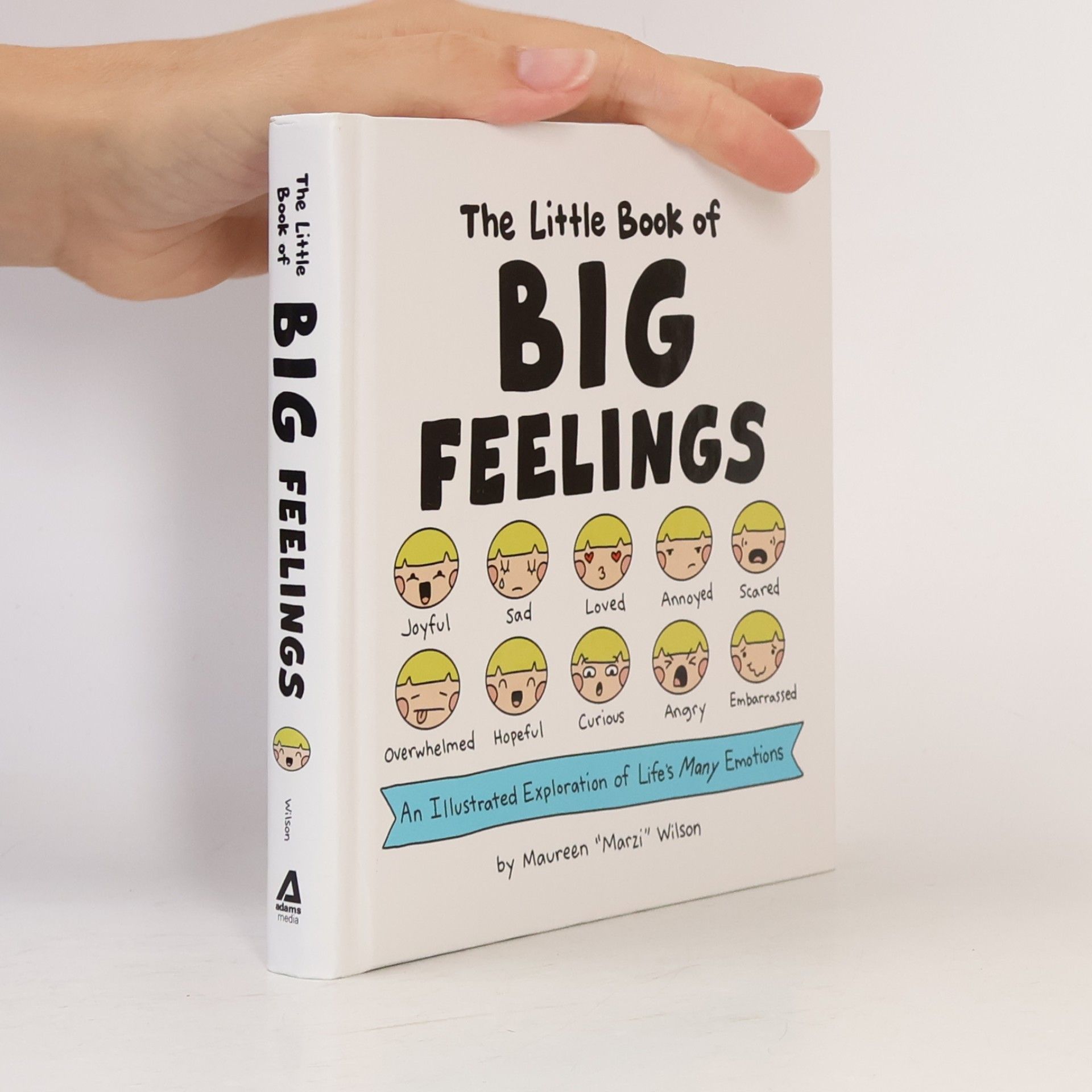 Maureen Marzi Wilson The Little Book of Big Feelings
