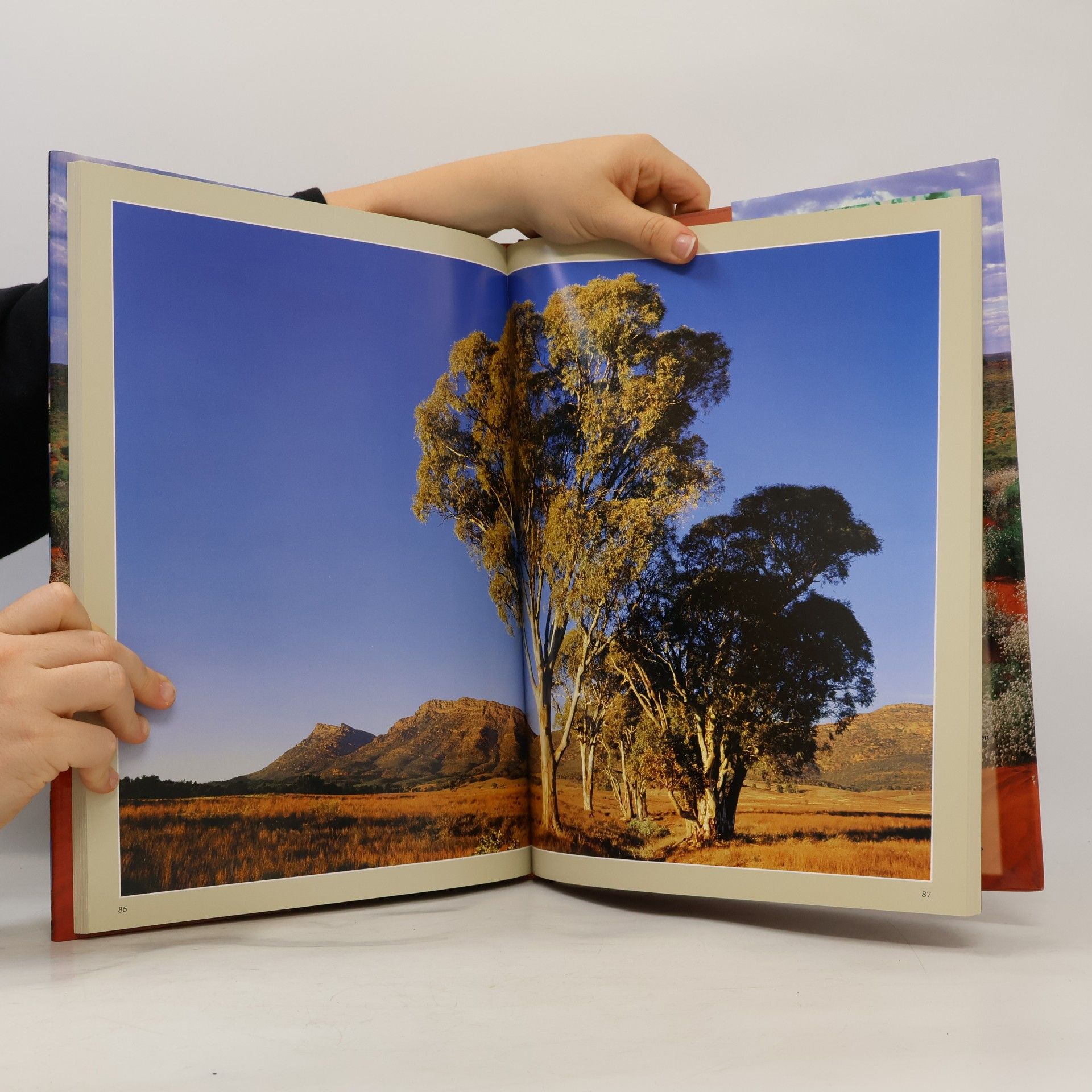 Steve Parish Discover Australia