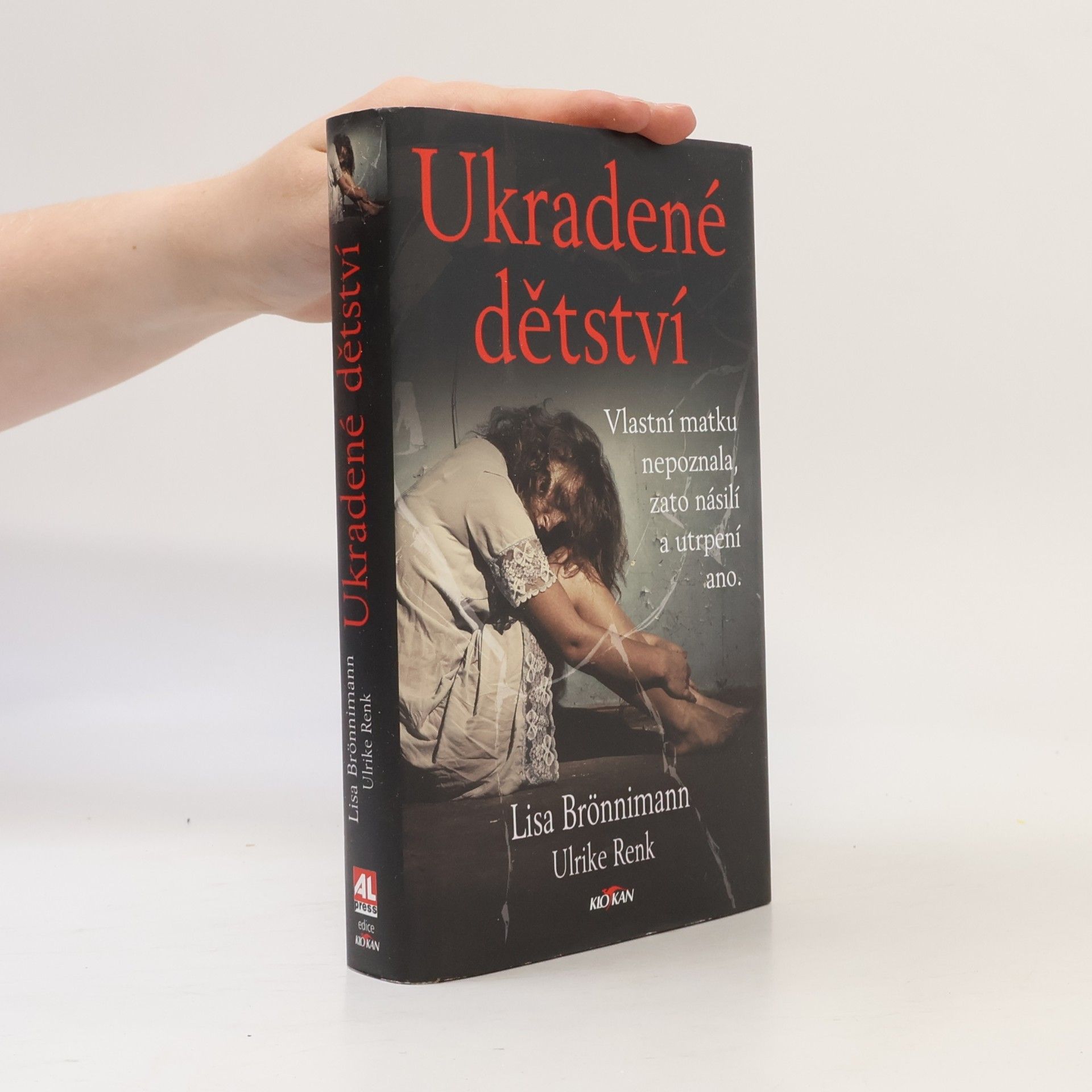 Lisa Brönnimann Ukradené dětství