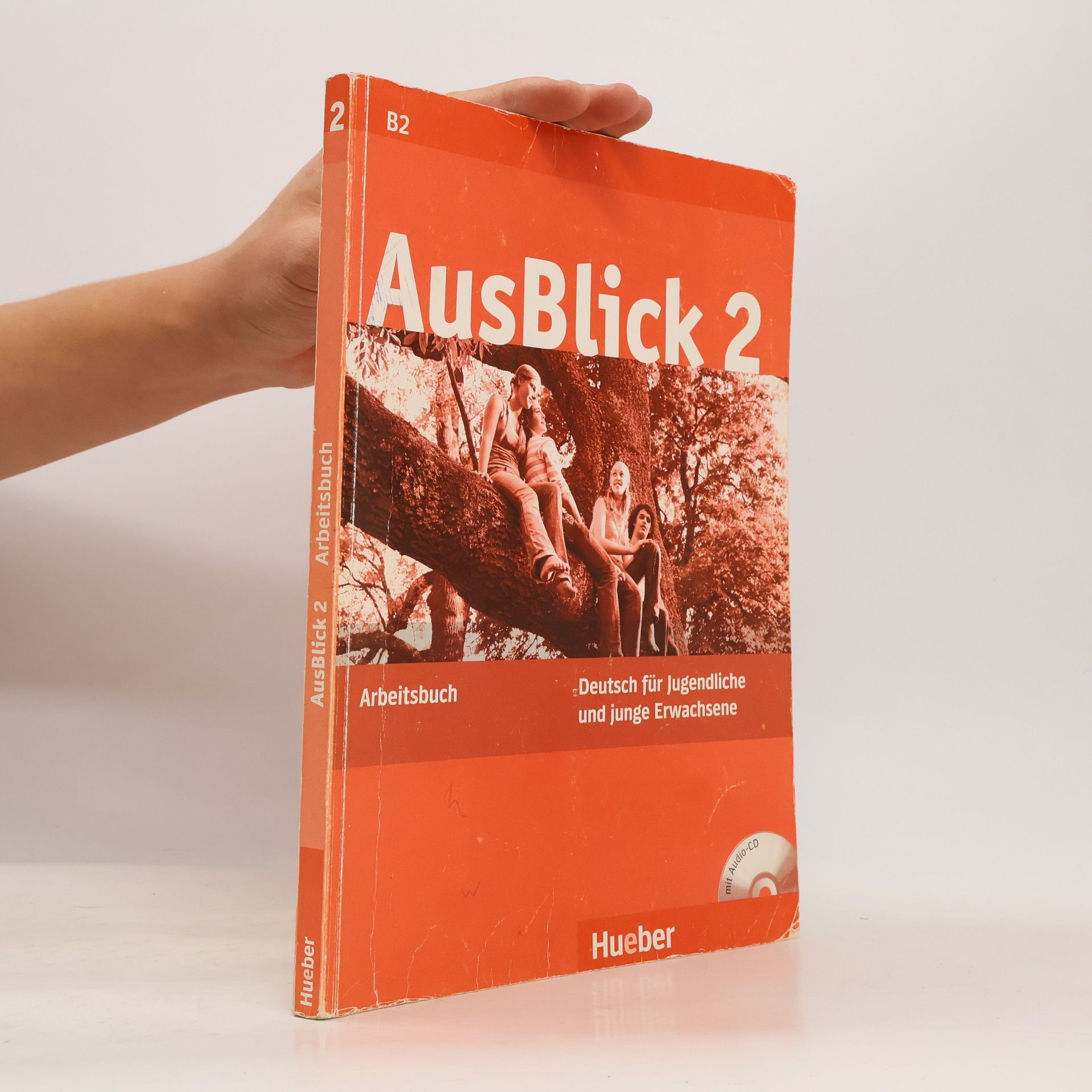 Autorenkollektiv AusBlick