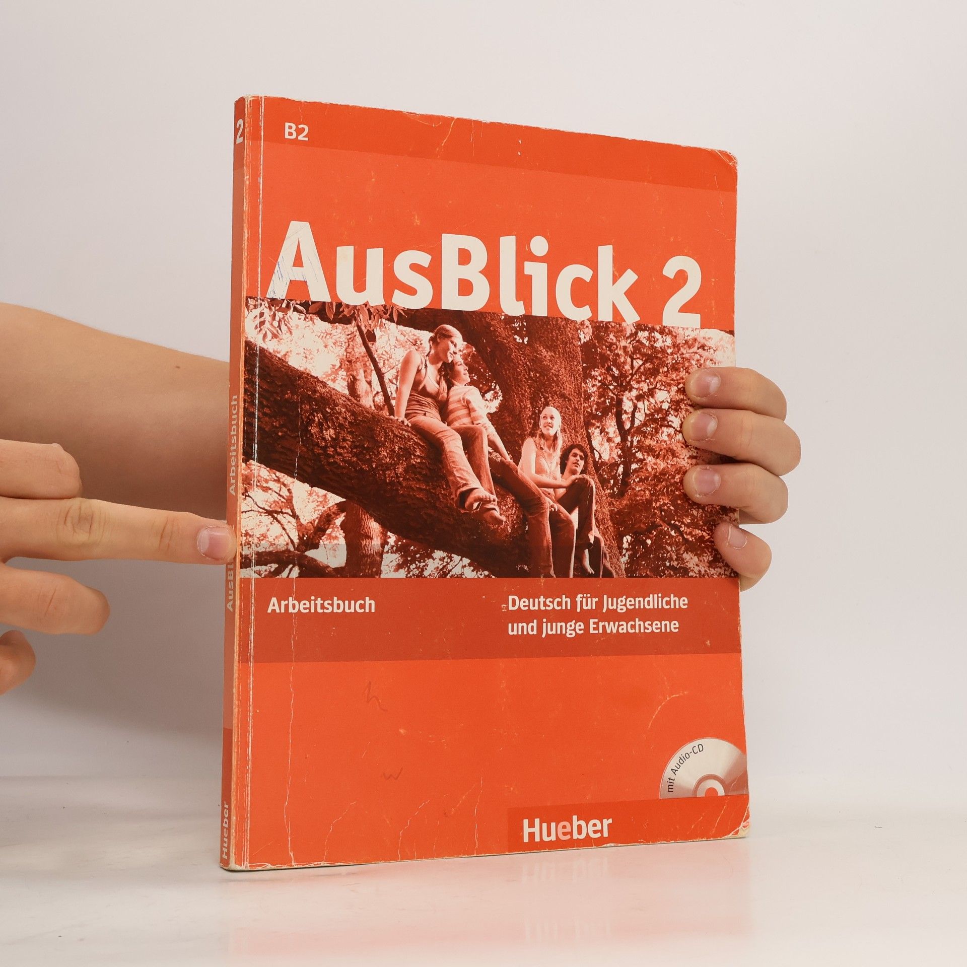 Autorenkollektiv AusBlick