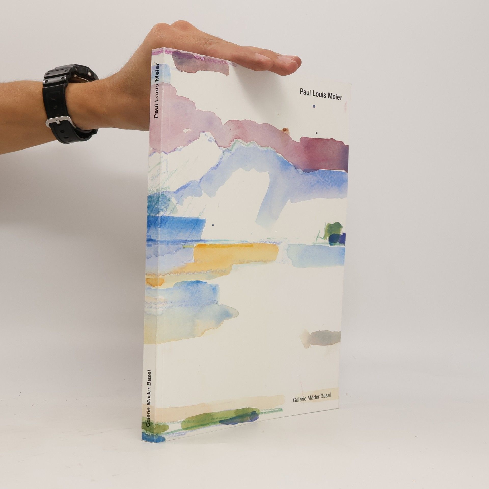 Collectif d'auteurs Paul Louis Meier