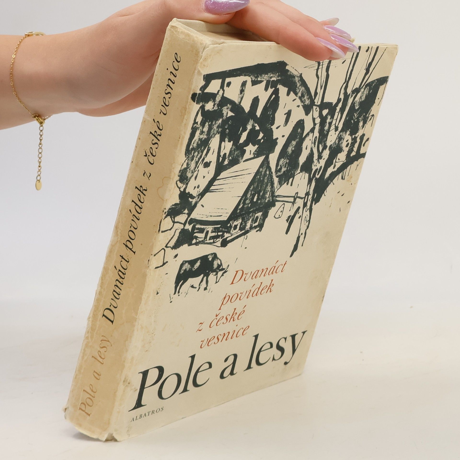 Hana Rambousková Pole a lesy