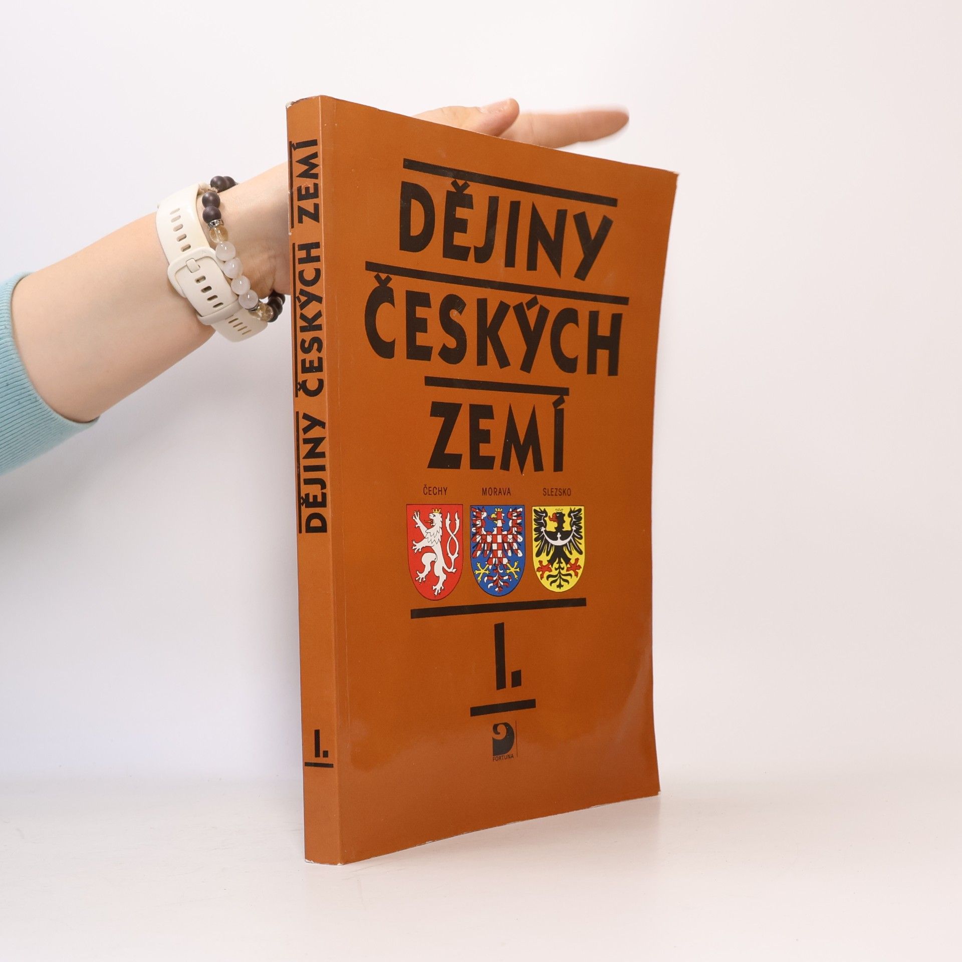 Rudolf Fišer Dějiny českých zemí 1. Od pravěku do poloviny 18. století