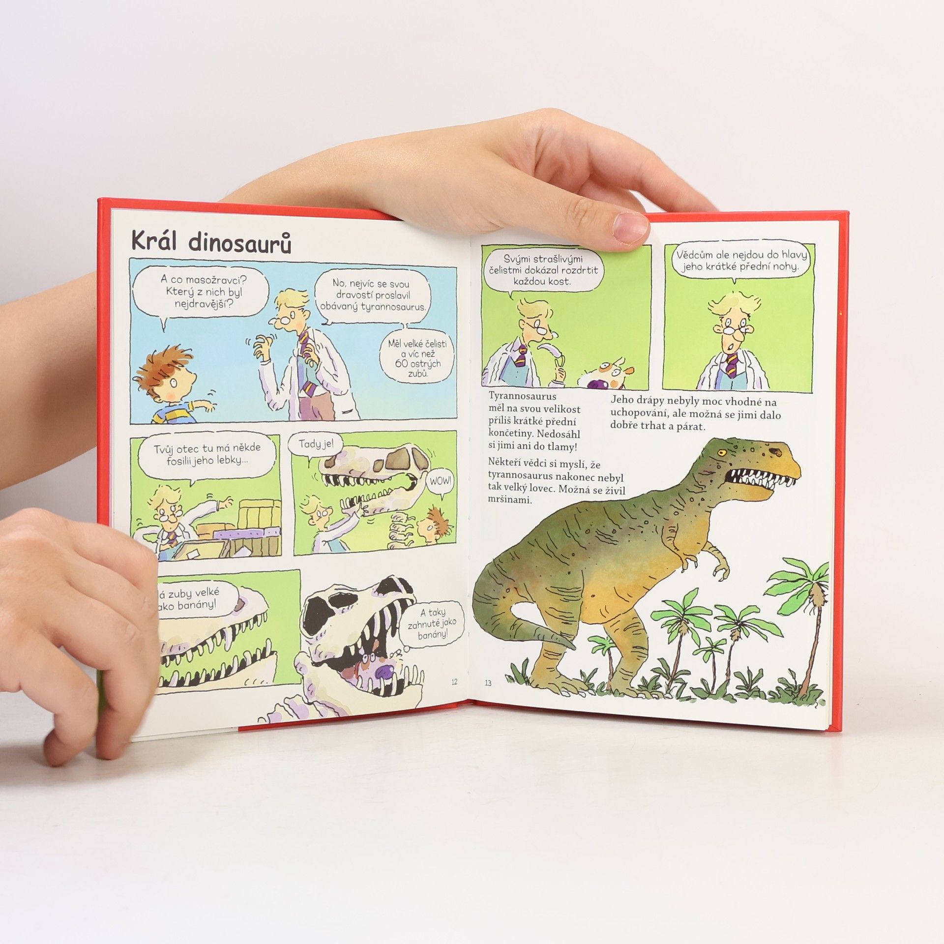 Philip Ardagh Davidův dům - Dinosauři