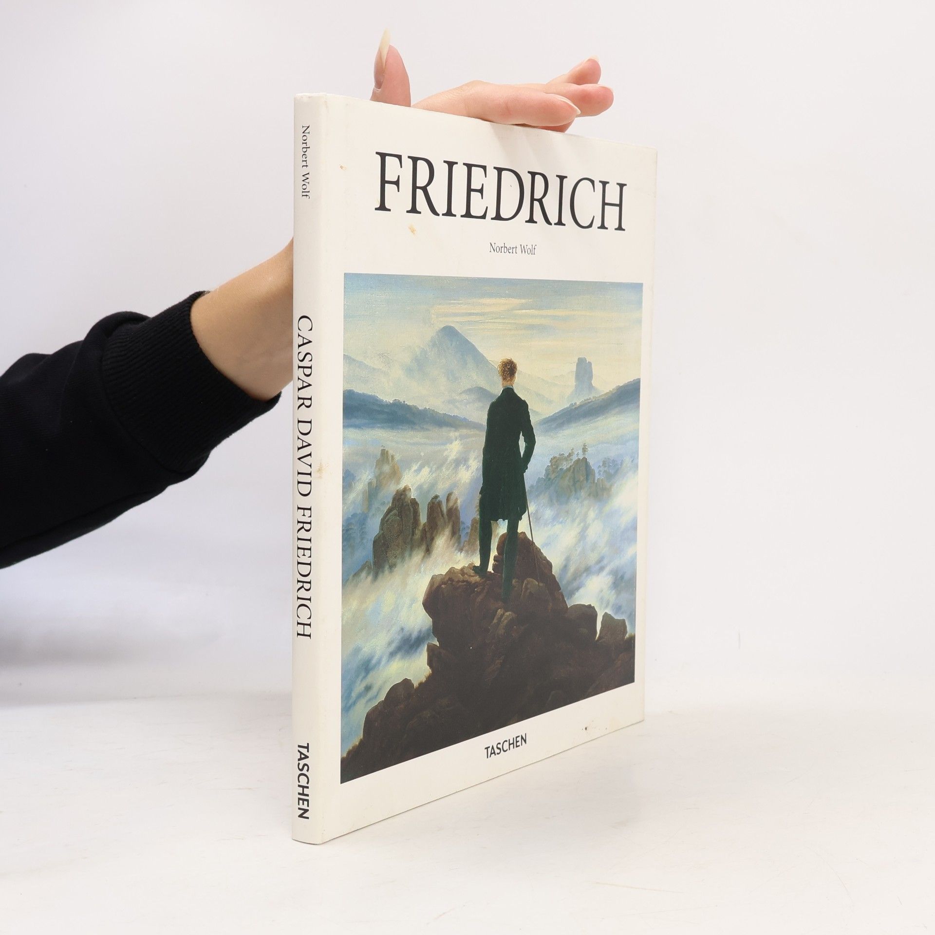 Norbert Wolf Friedrich
