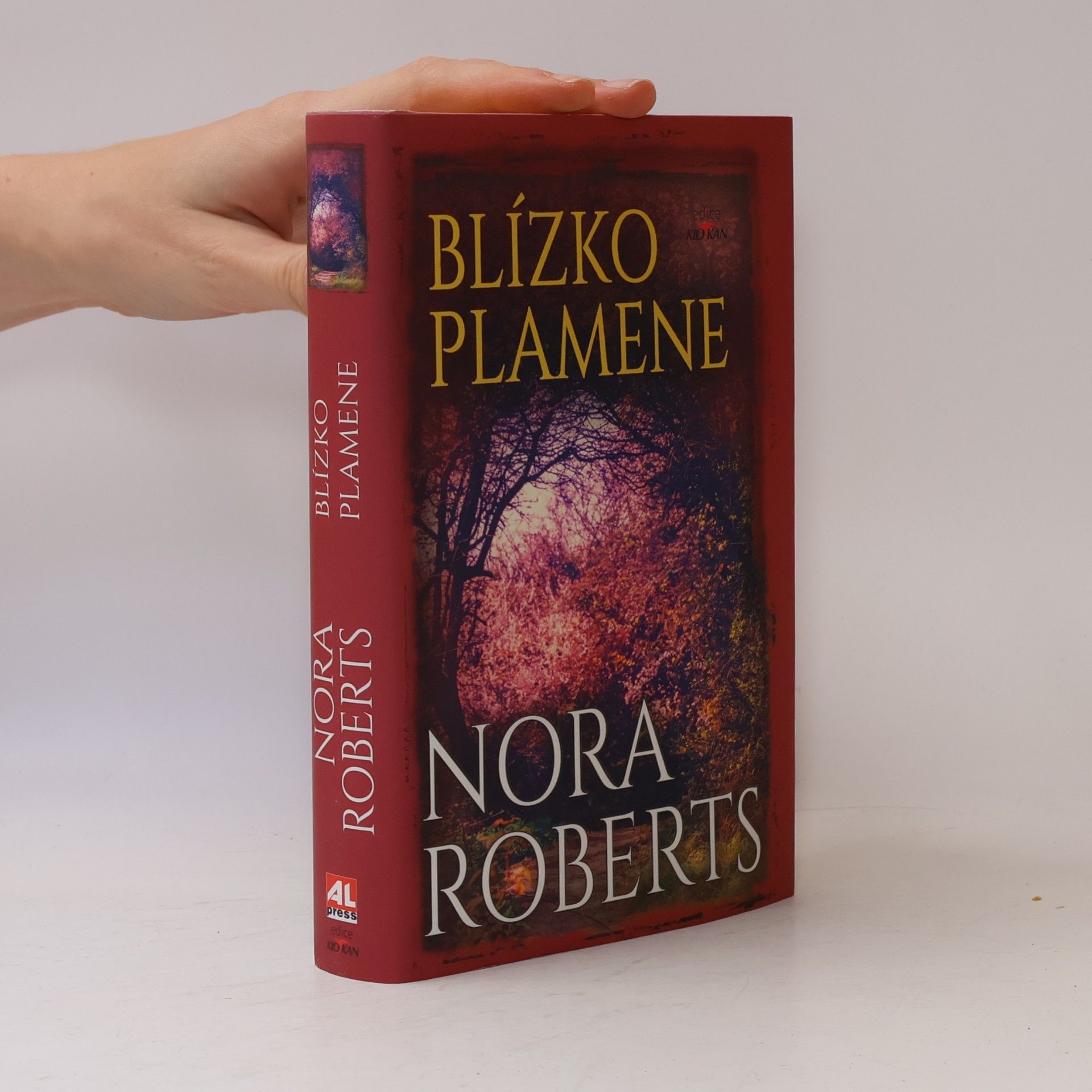 Nora Roberts Blízko plamene