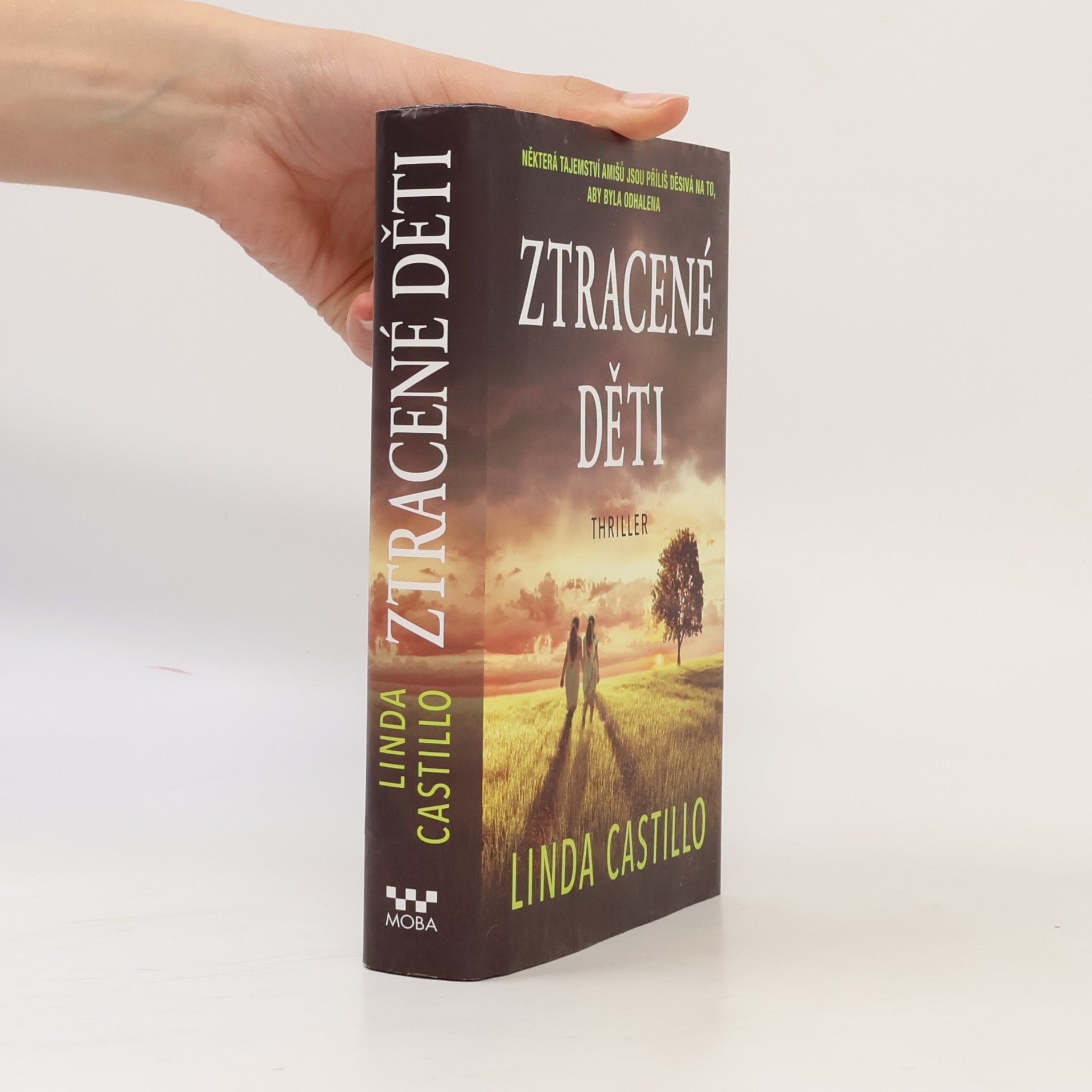 Linda Castillo Ztracené děti