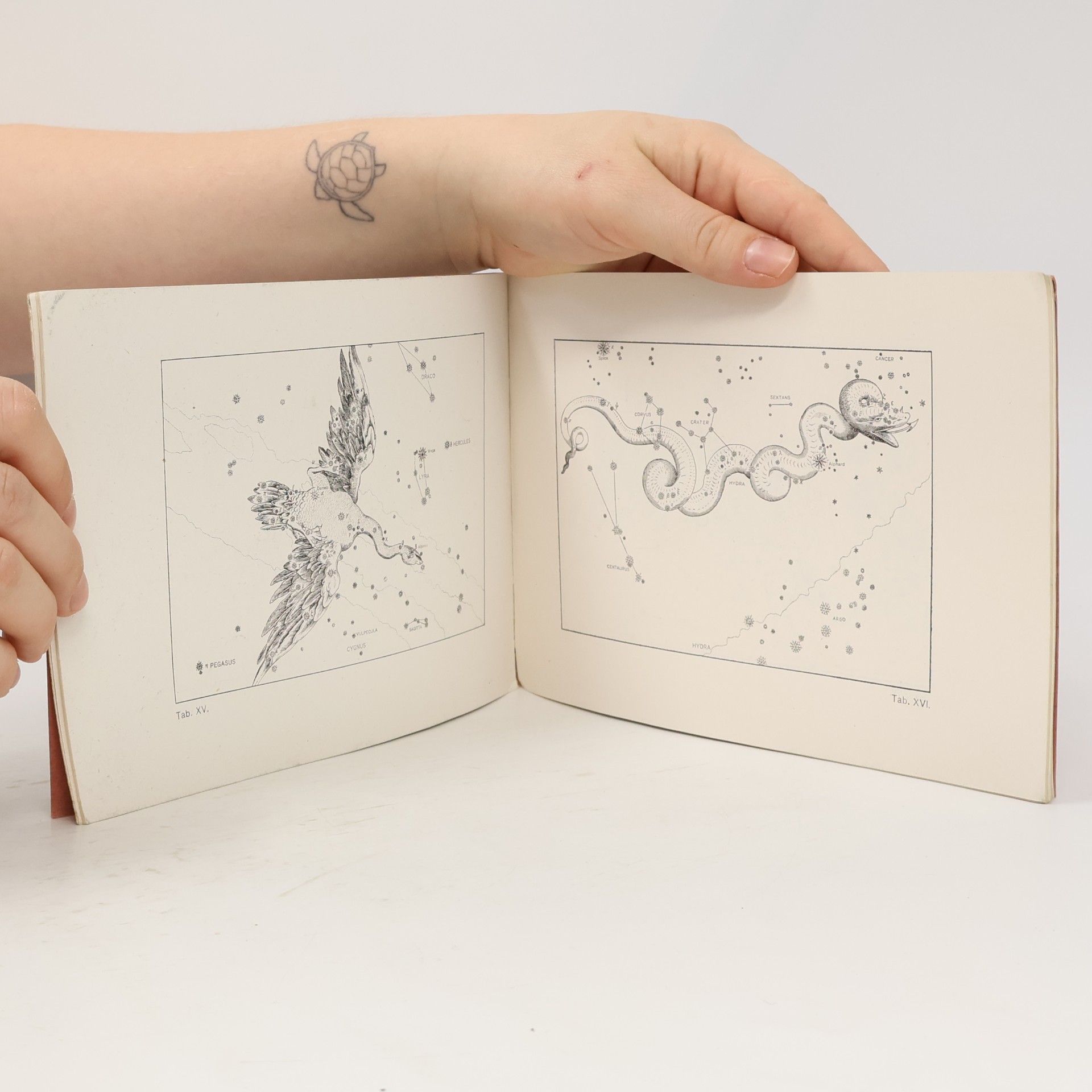 Jan Bayer Atlas hvězdné oblohy. Uranometria