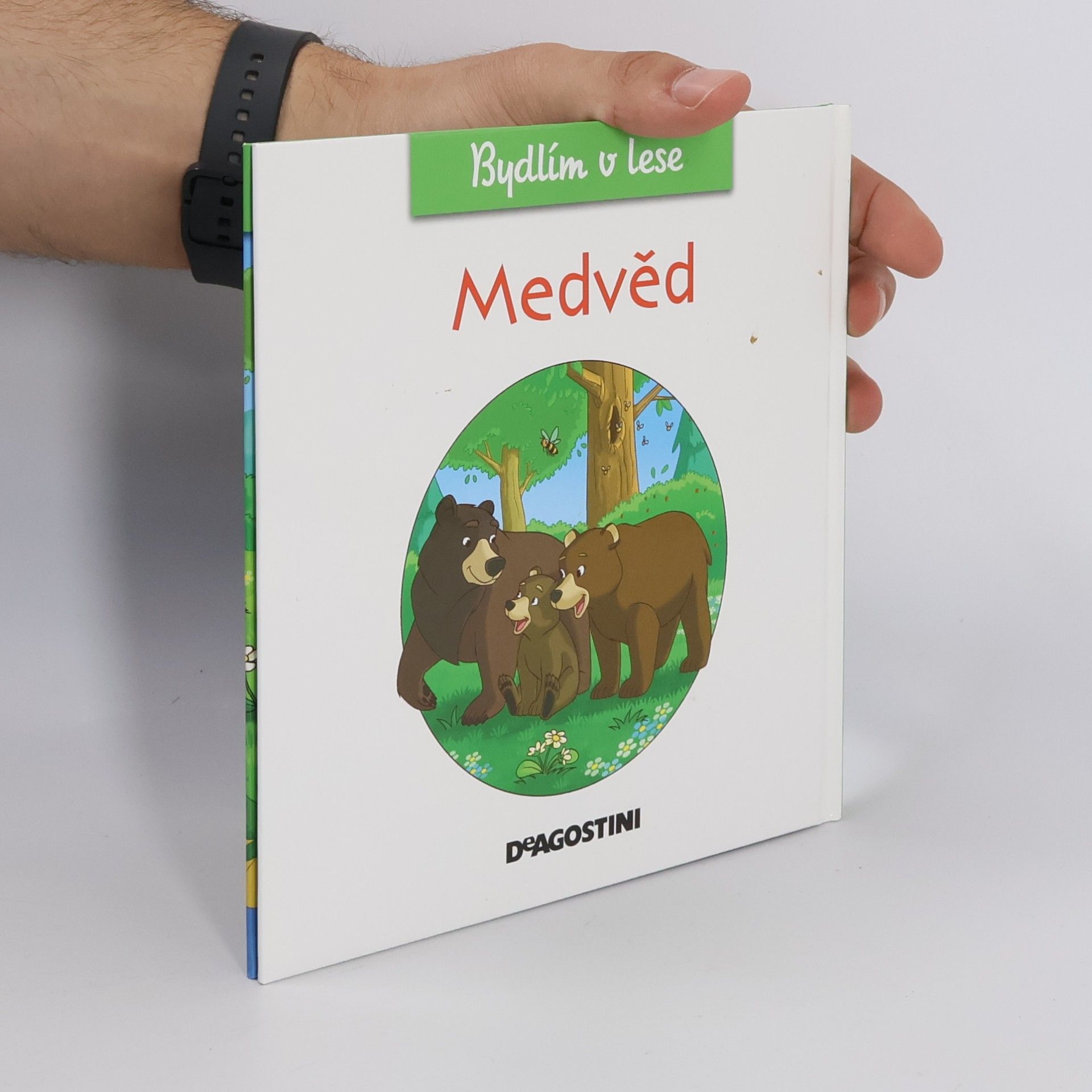 Miluše Rysová Medvěd