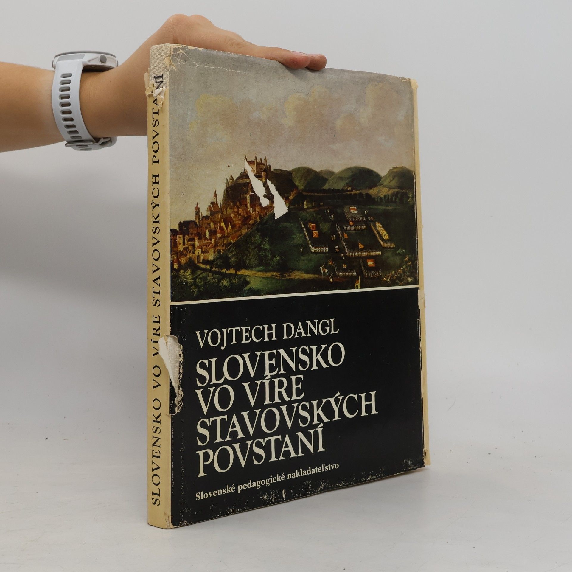 Slovensko vo víre stavovských povstaní