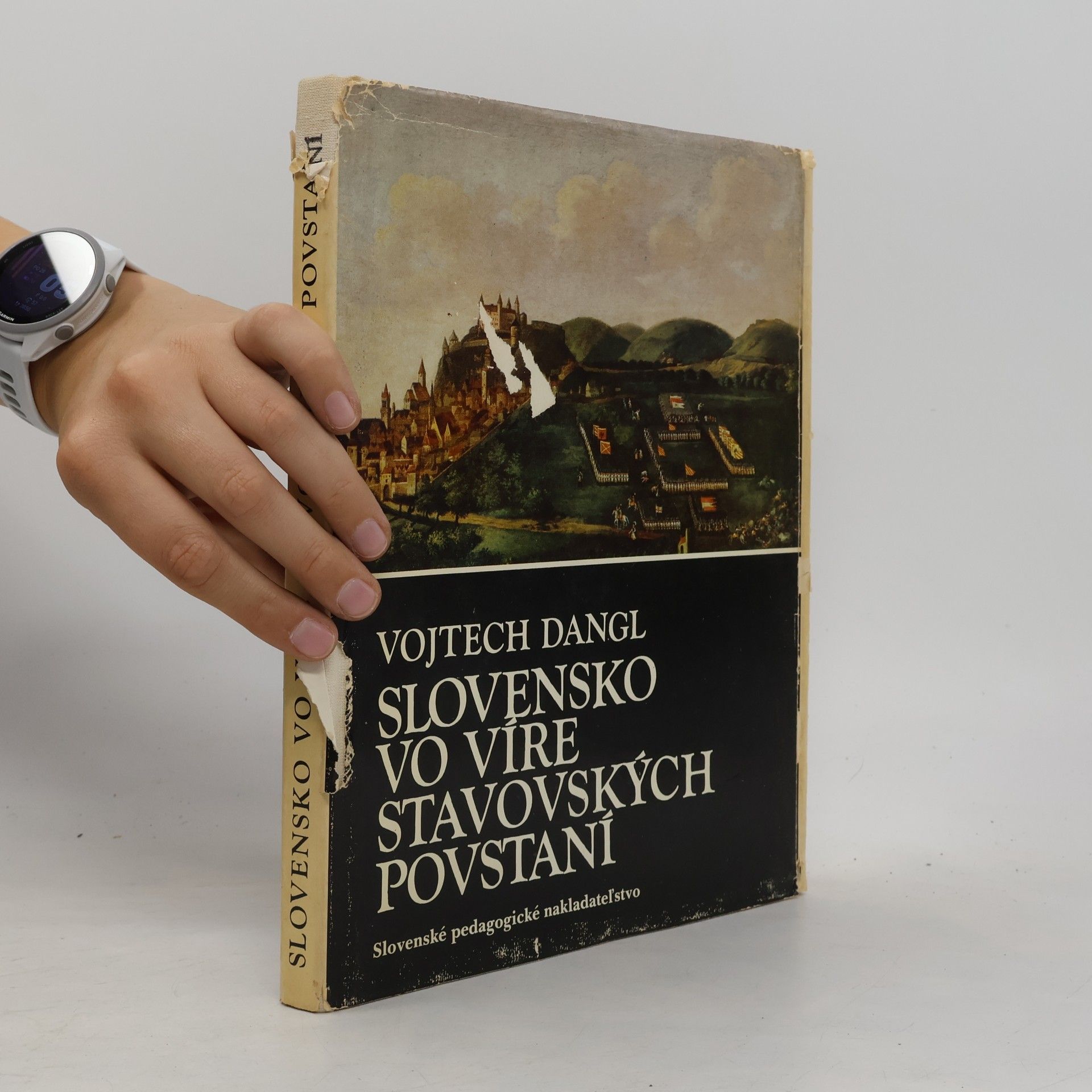 Vojtech Dangl Slovensko vo víre stavovských povstaní