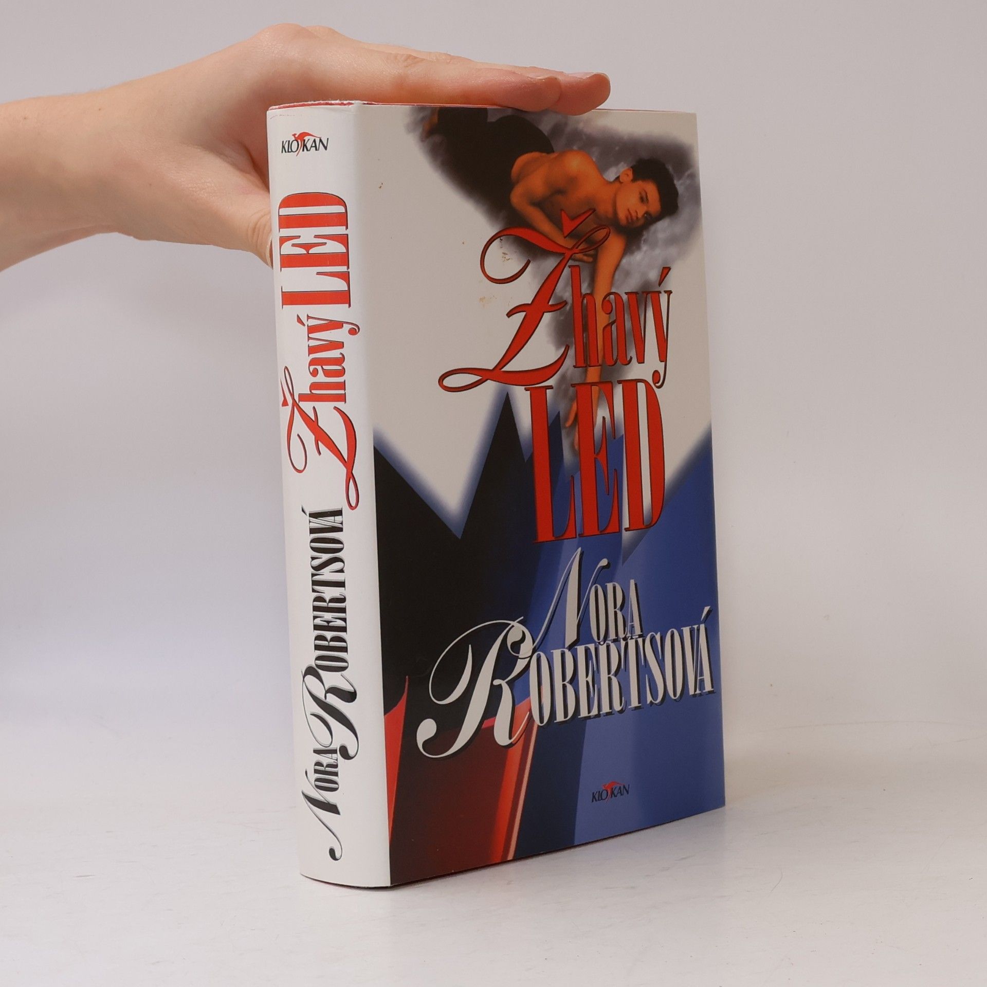 Nora Roberts Žhavý led