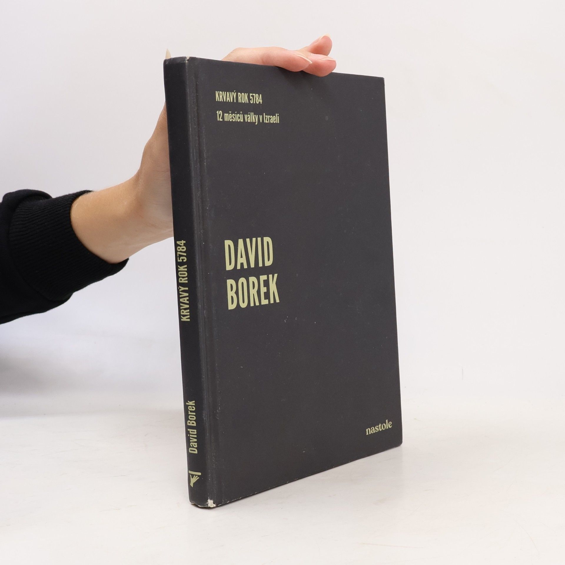 David Borek Krvavý rok 5784: 12 měsíců války v Izraeli