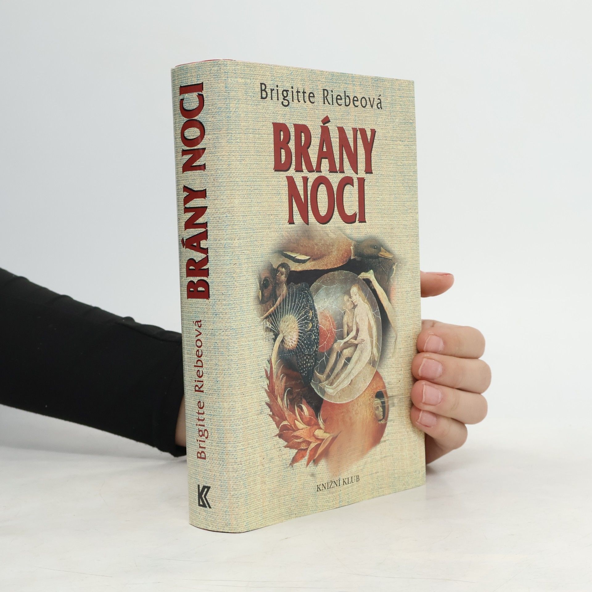 Brigitte Riebe Brány noci