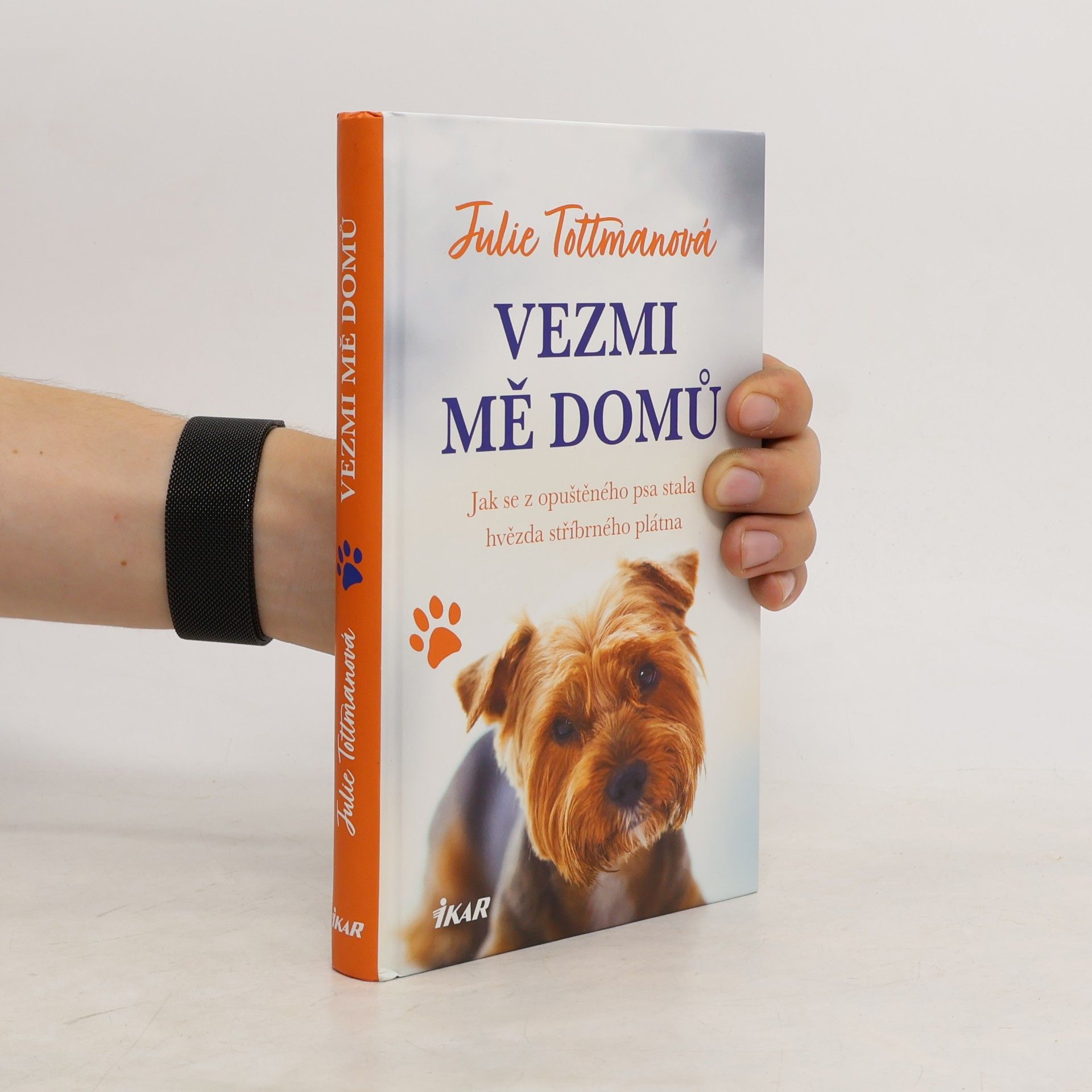 Julie Tottman Vezmi mě domů