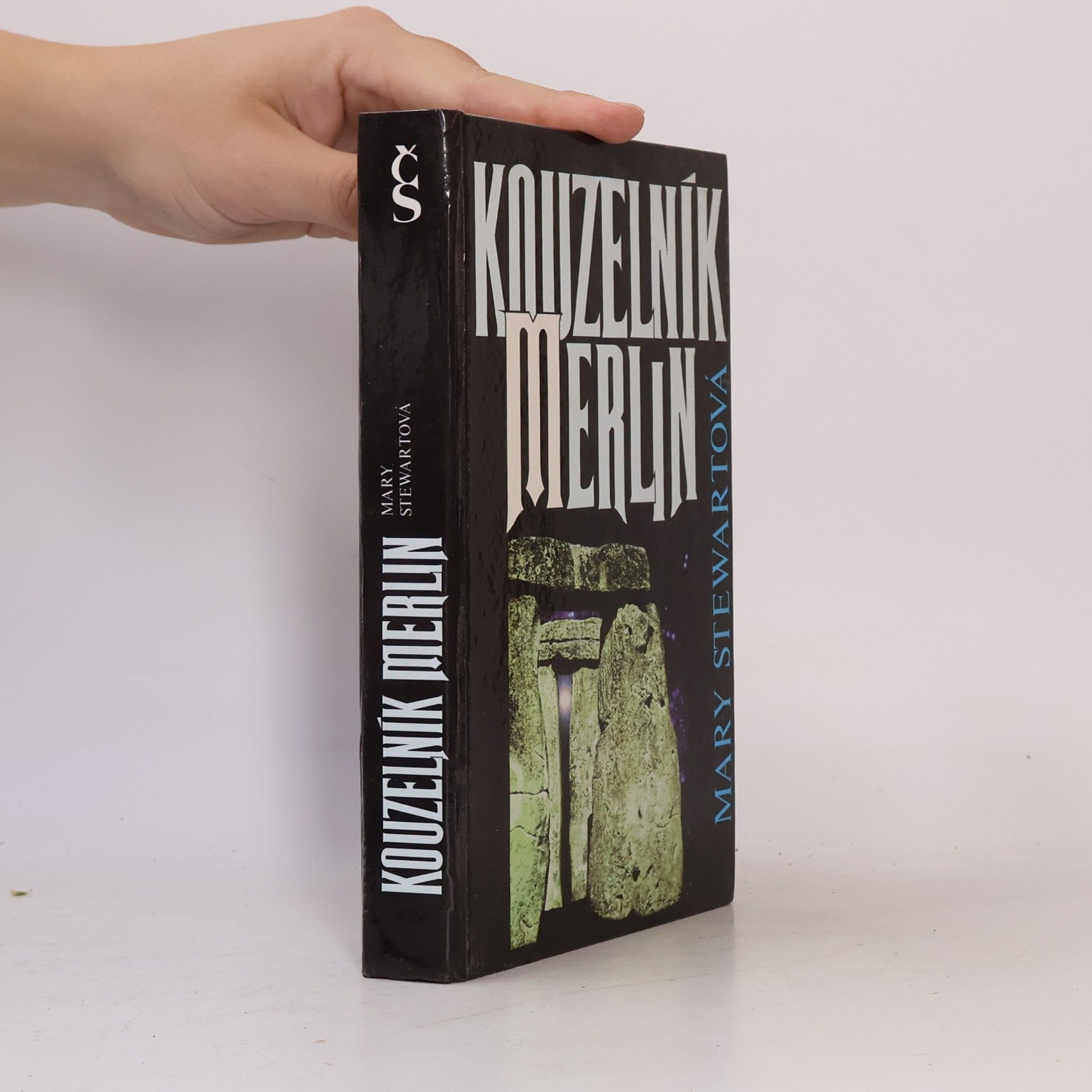 Mary Stewart Kouzelník Merlin