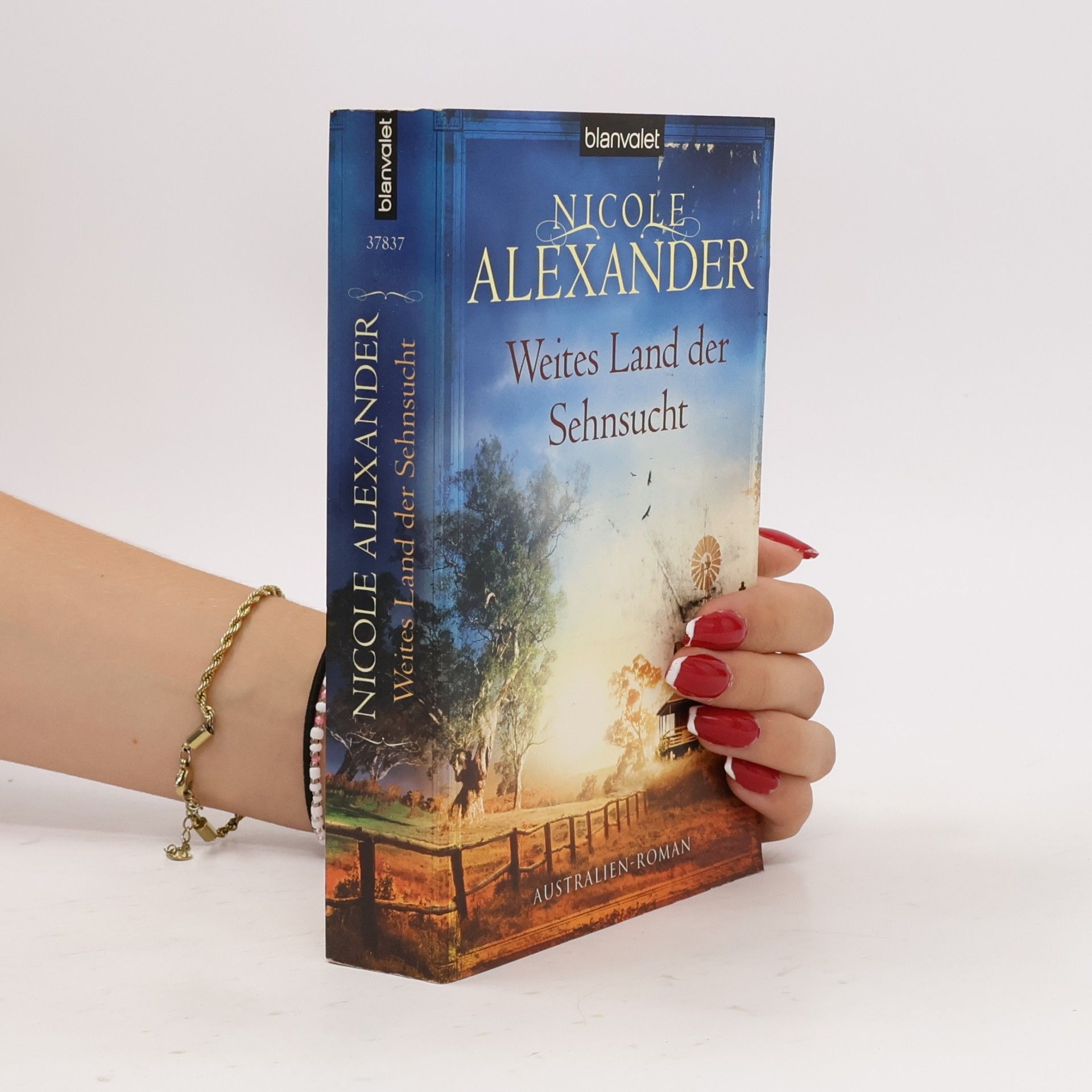 Nicole Alexander Weites Land der Sehnsucht