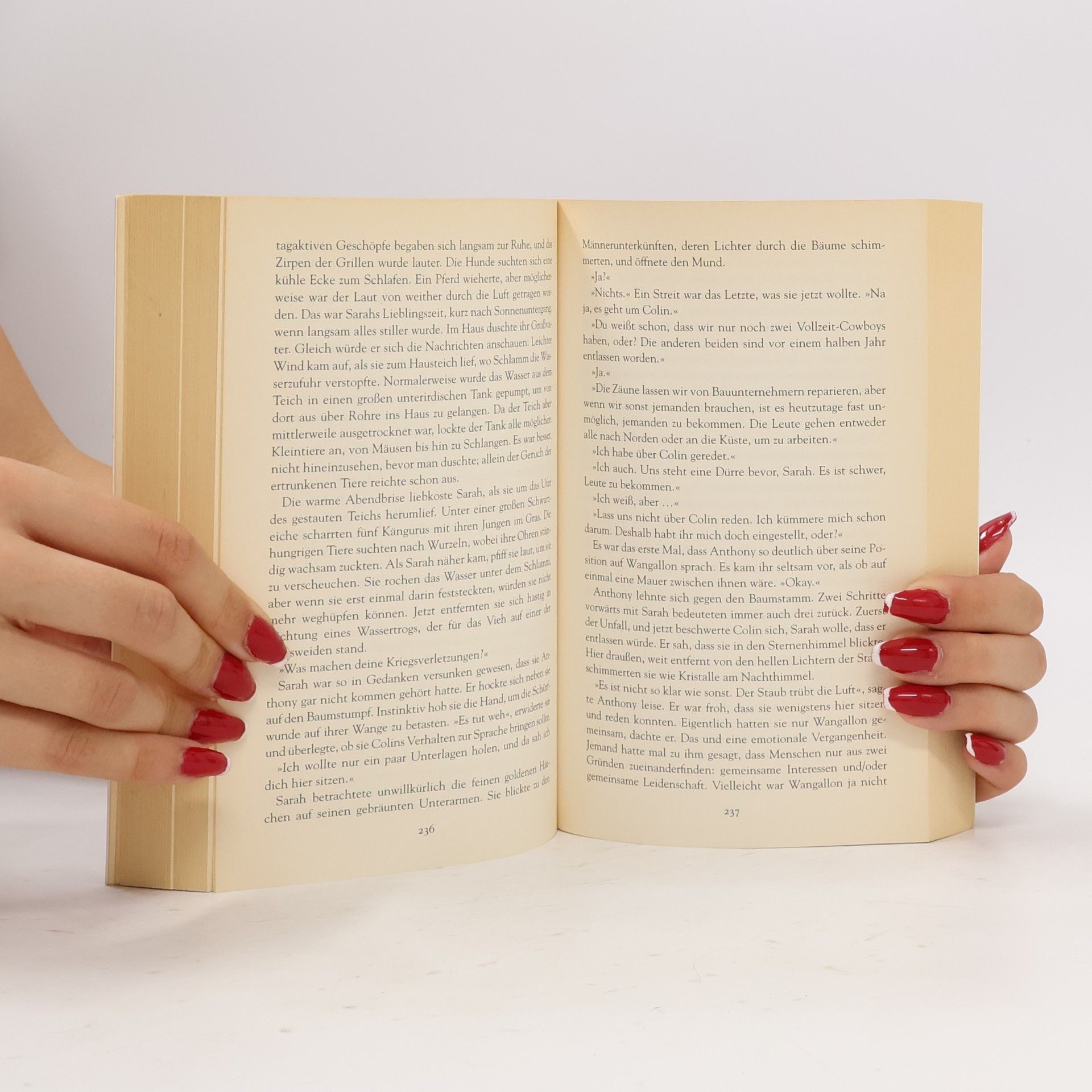 Nicole Alexander Weites Land der Sehnsucht