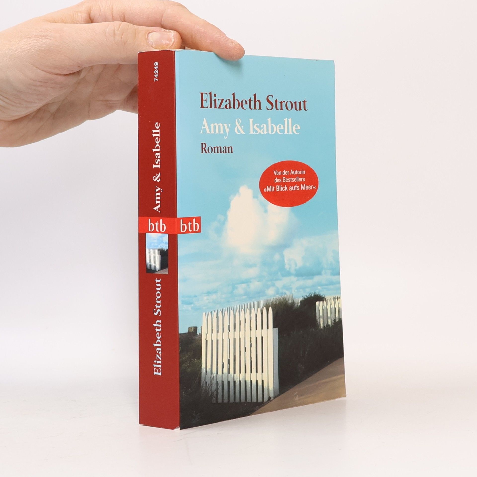 Elizabeth Strout Amy & Isabelle