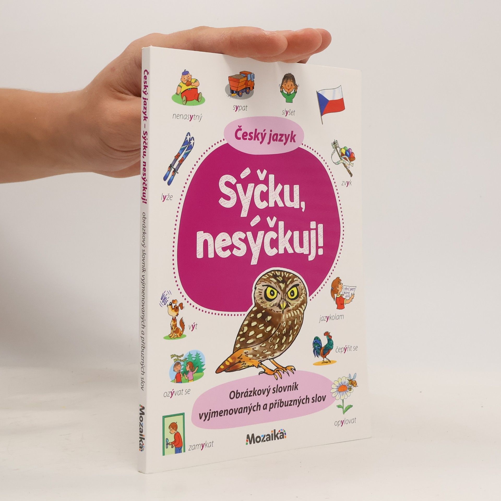 Autorenkollektiv Český jazyk : sýčku, nesýčkuj!