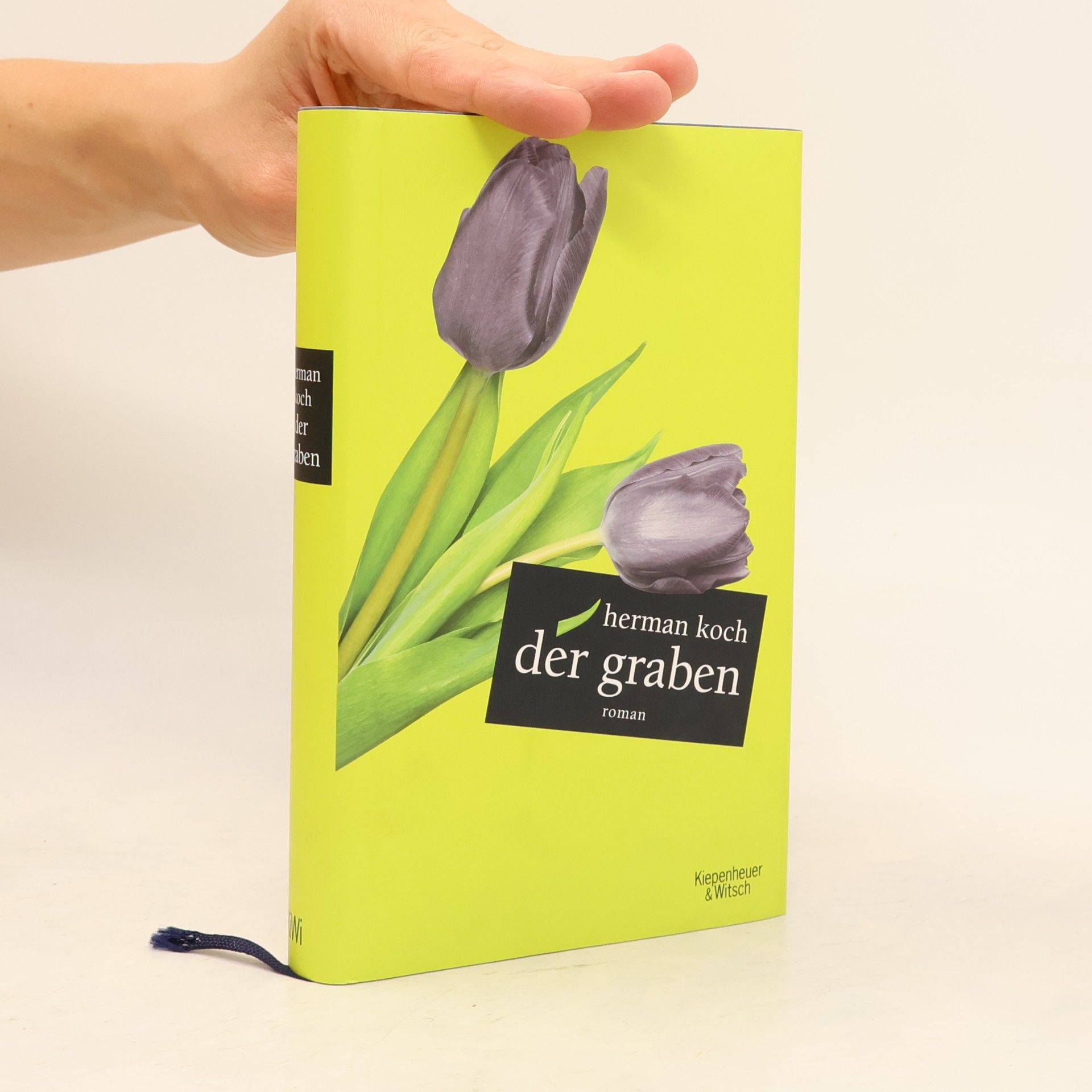 Herman Koch Der Graben
