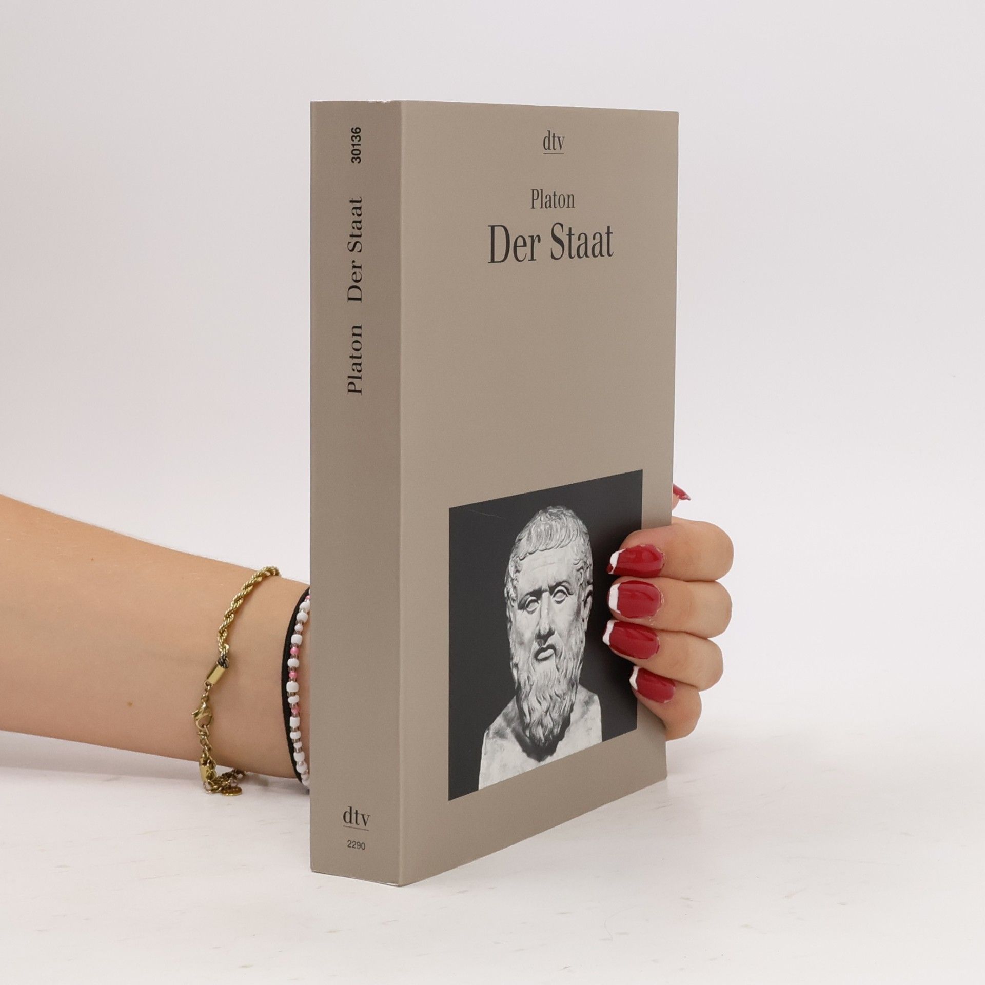 Plato Der Staat