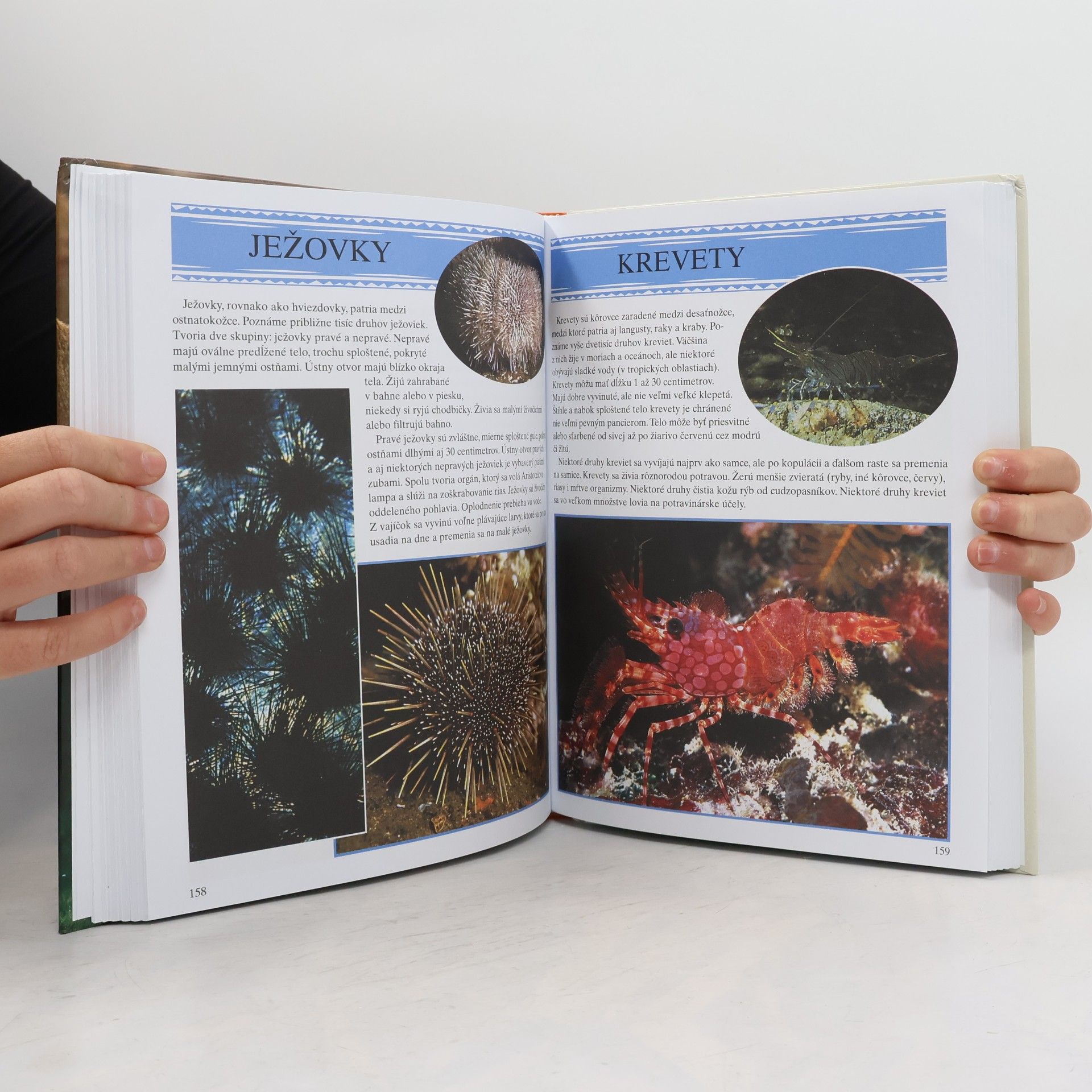 Autores varios Encyklopédia zvierat