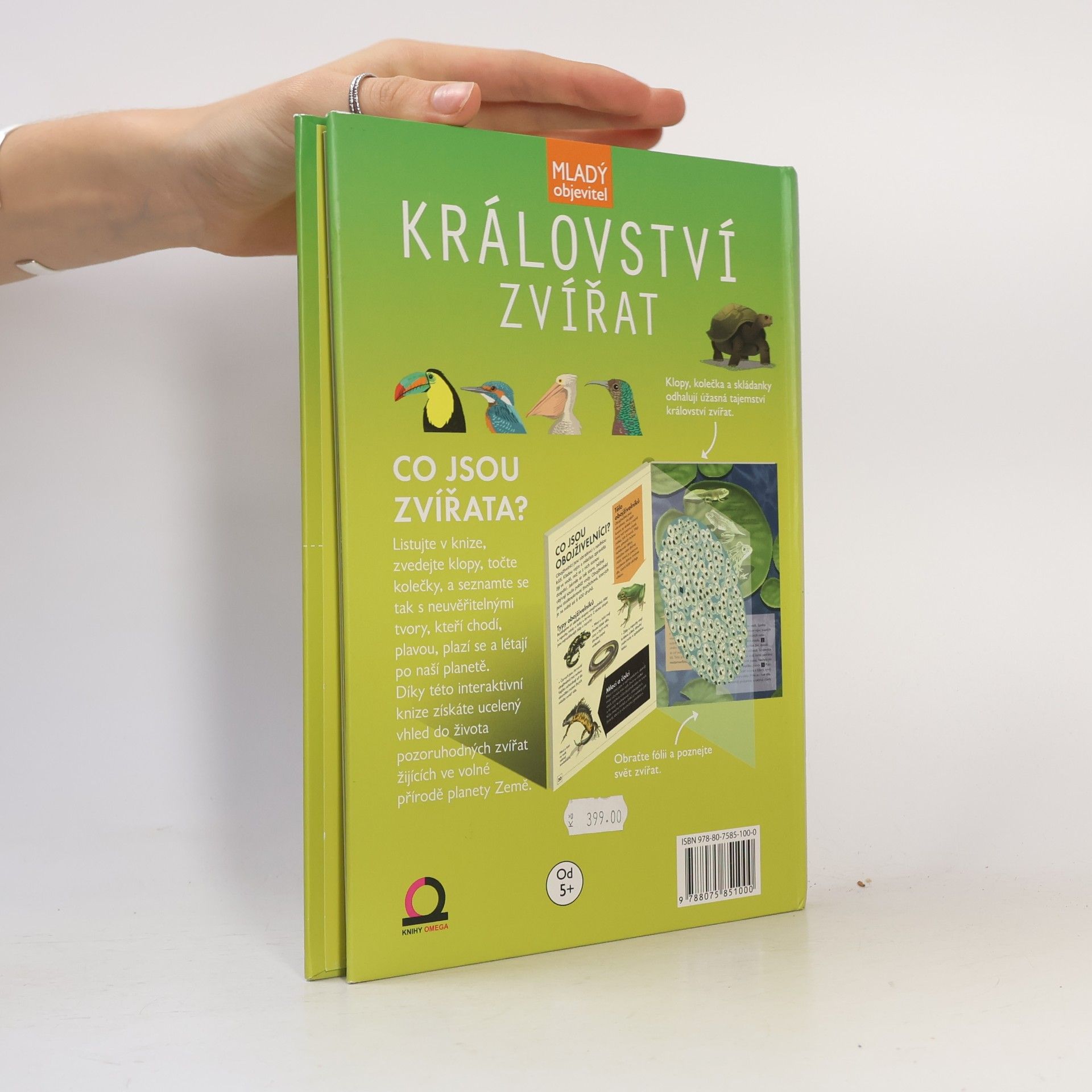 Bedoyere Camilla Království zvířat
