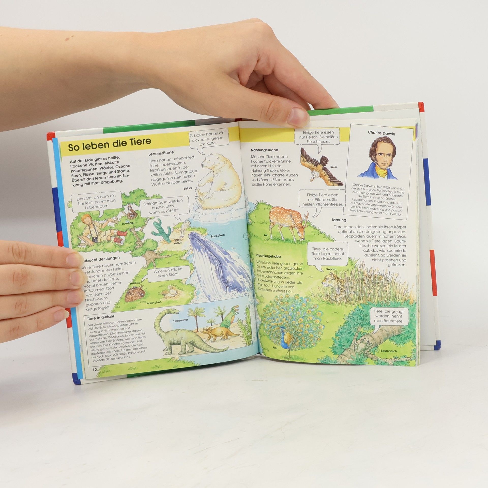 Kate Scarborough Mein erstes Buch vom Wissen