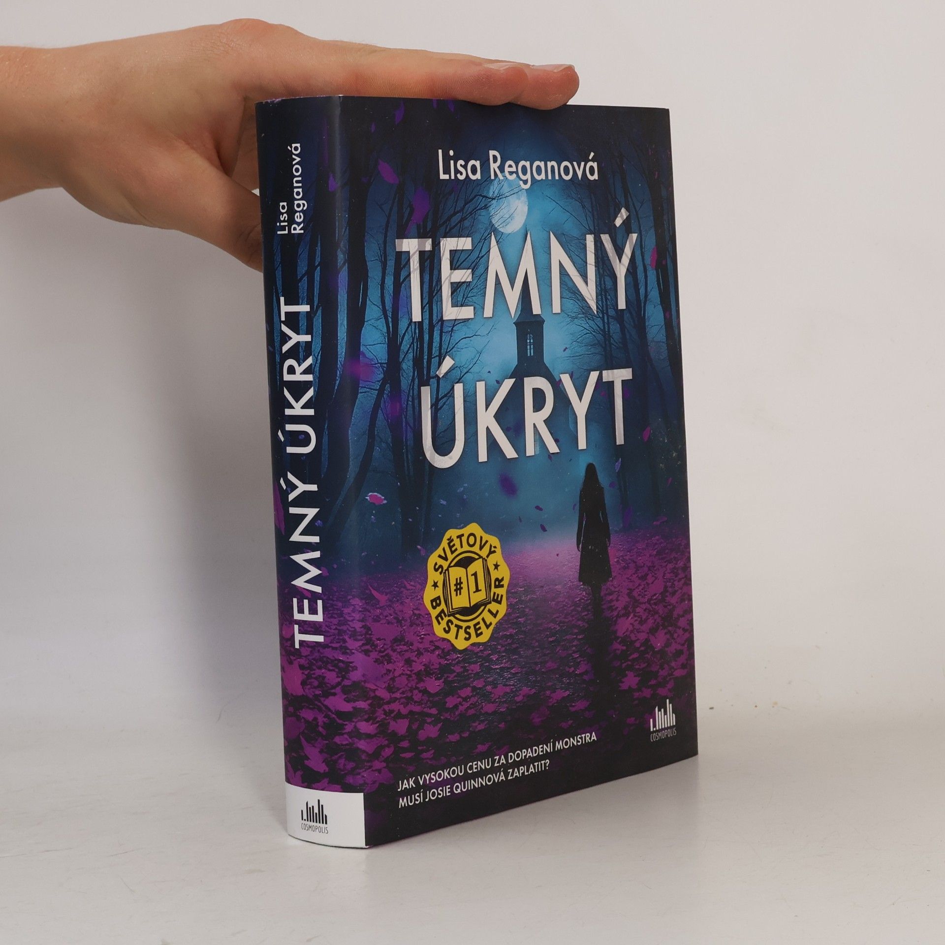 Lisa Regan Temný úkryt
