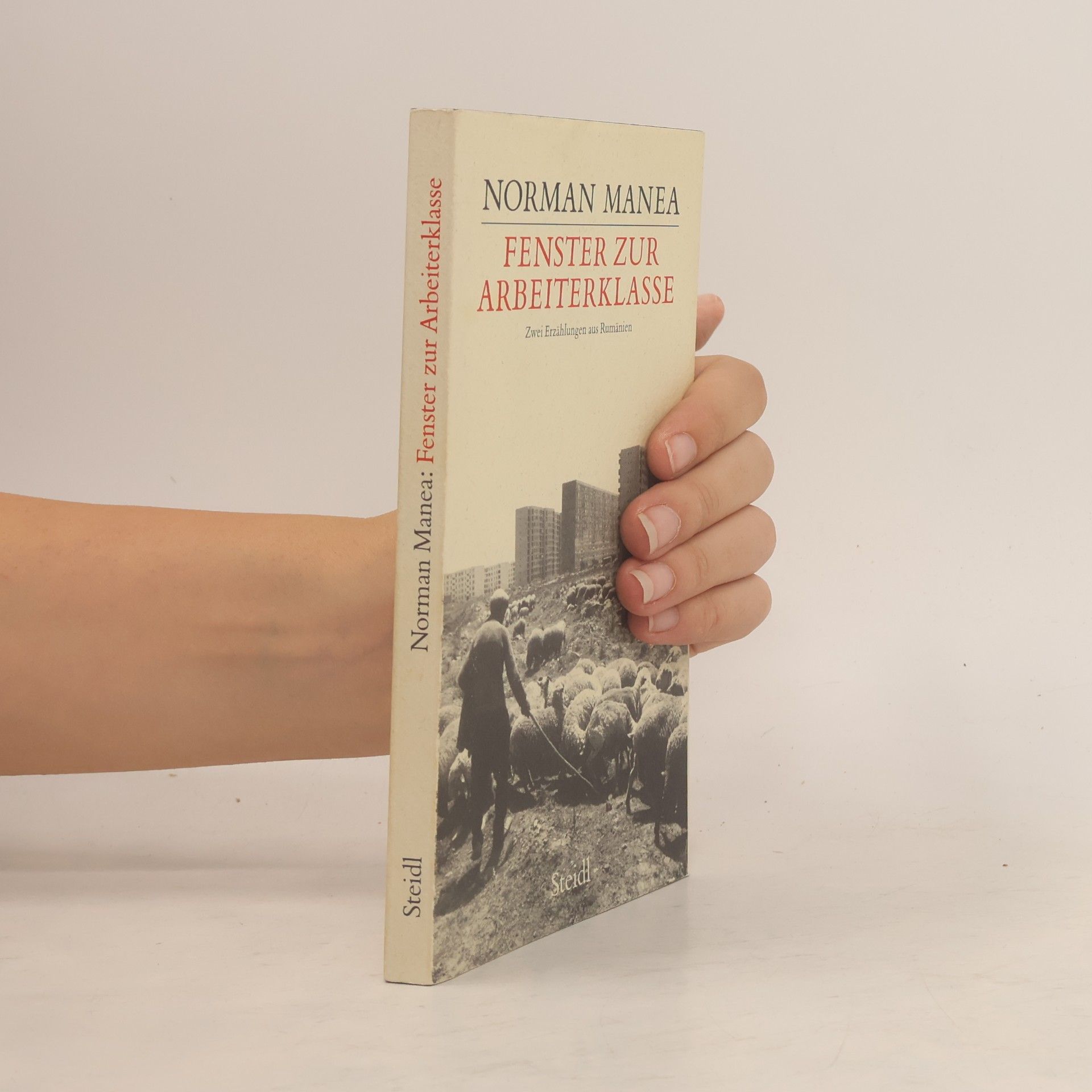 Norman Manea Fenster zur Arbeiterklasse