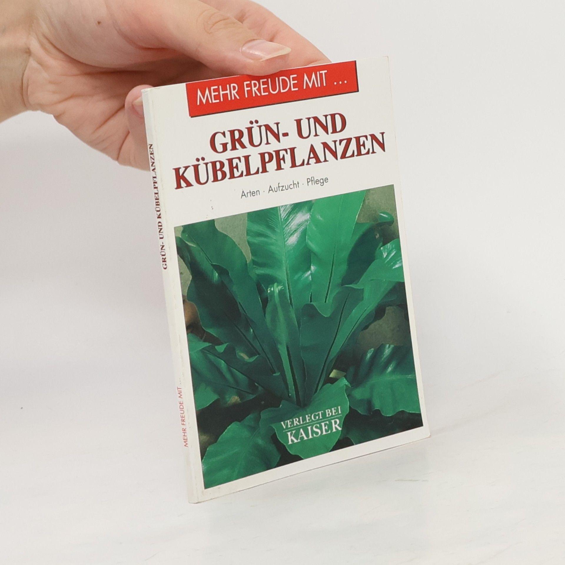 Autorenkollektiv Mehr Freude mit... Grün- und Kübelpflanzen