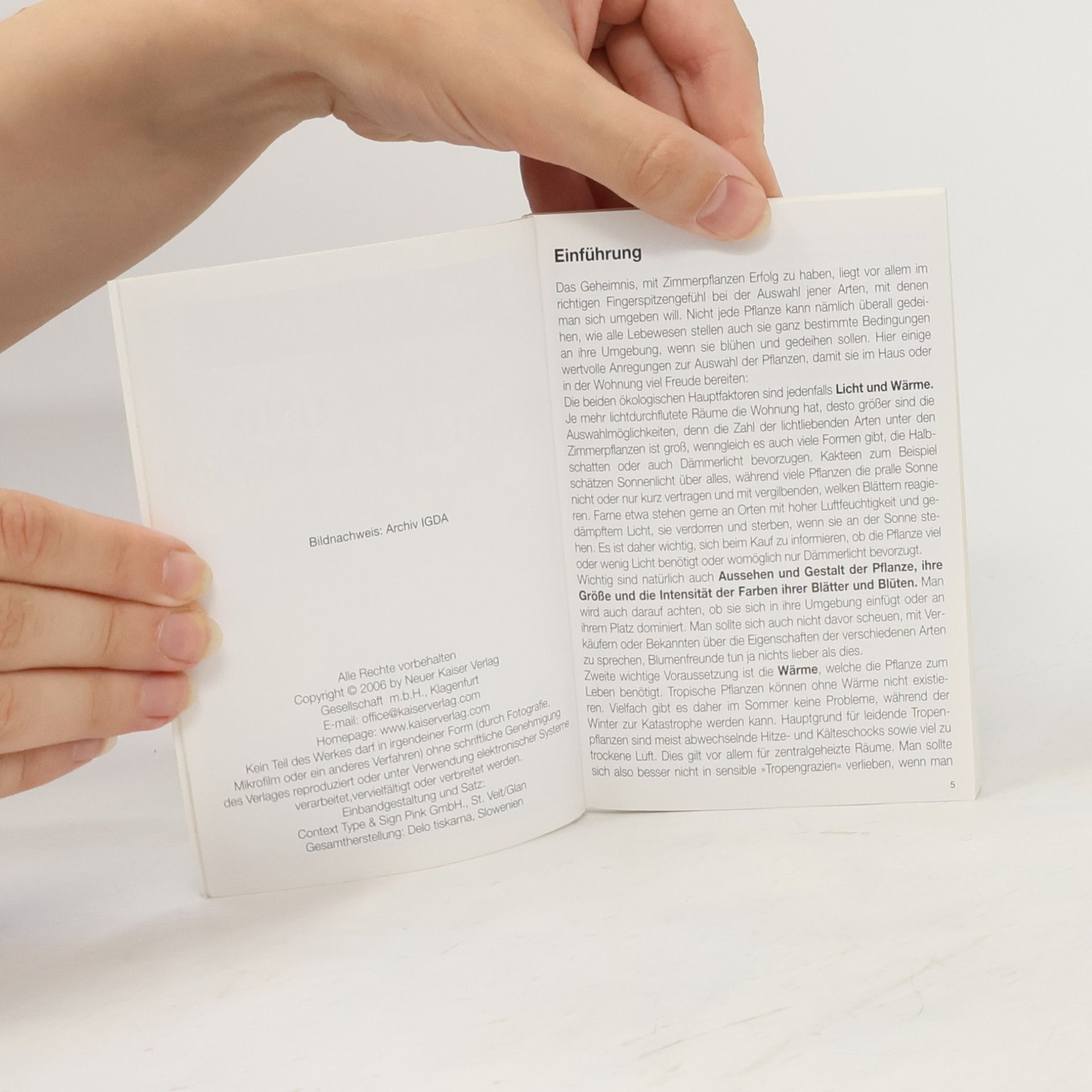 Autorenkollektiv Mehr Freude mit... Grün- und Kübelpflanzen