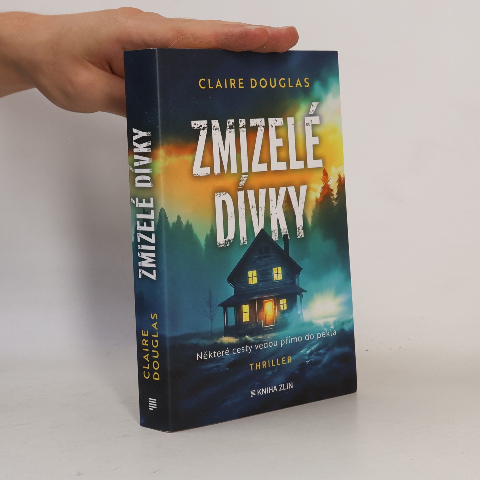 Zmizelé dívky