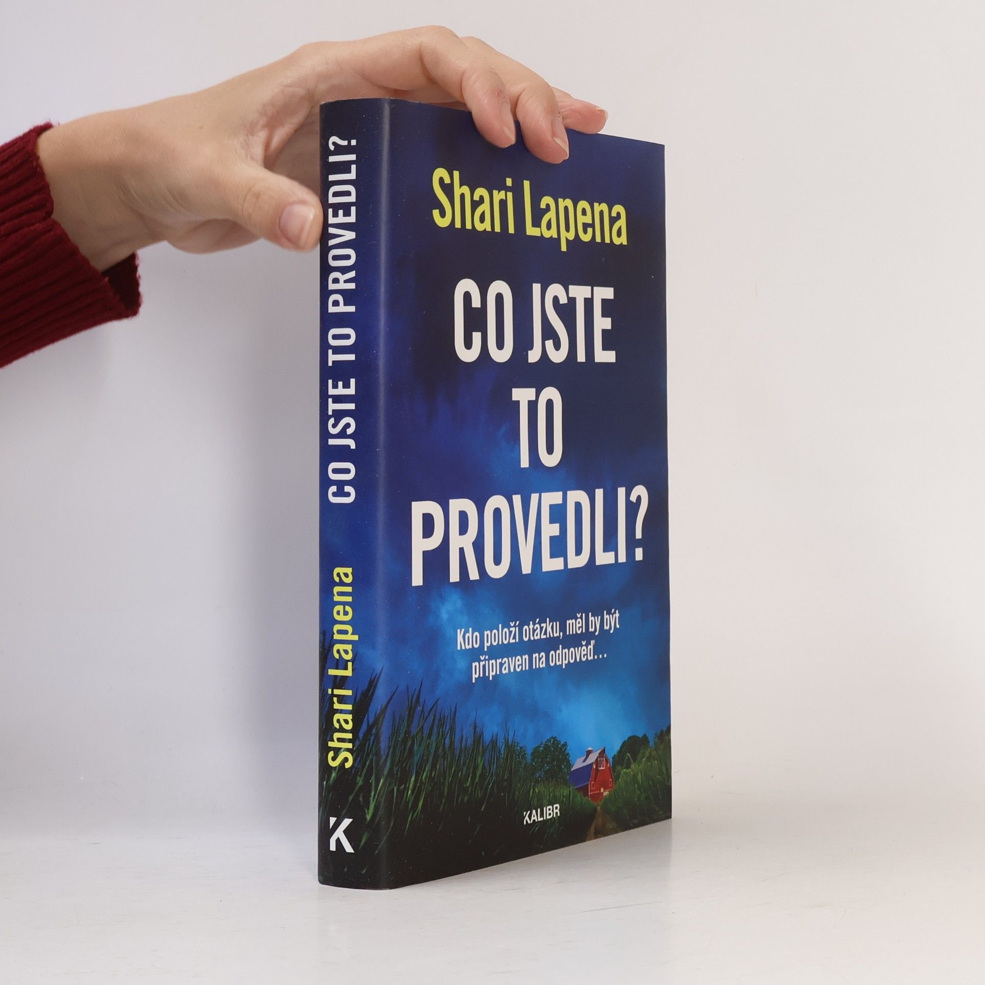 Shari Lapena Co jste to provedli?