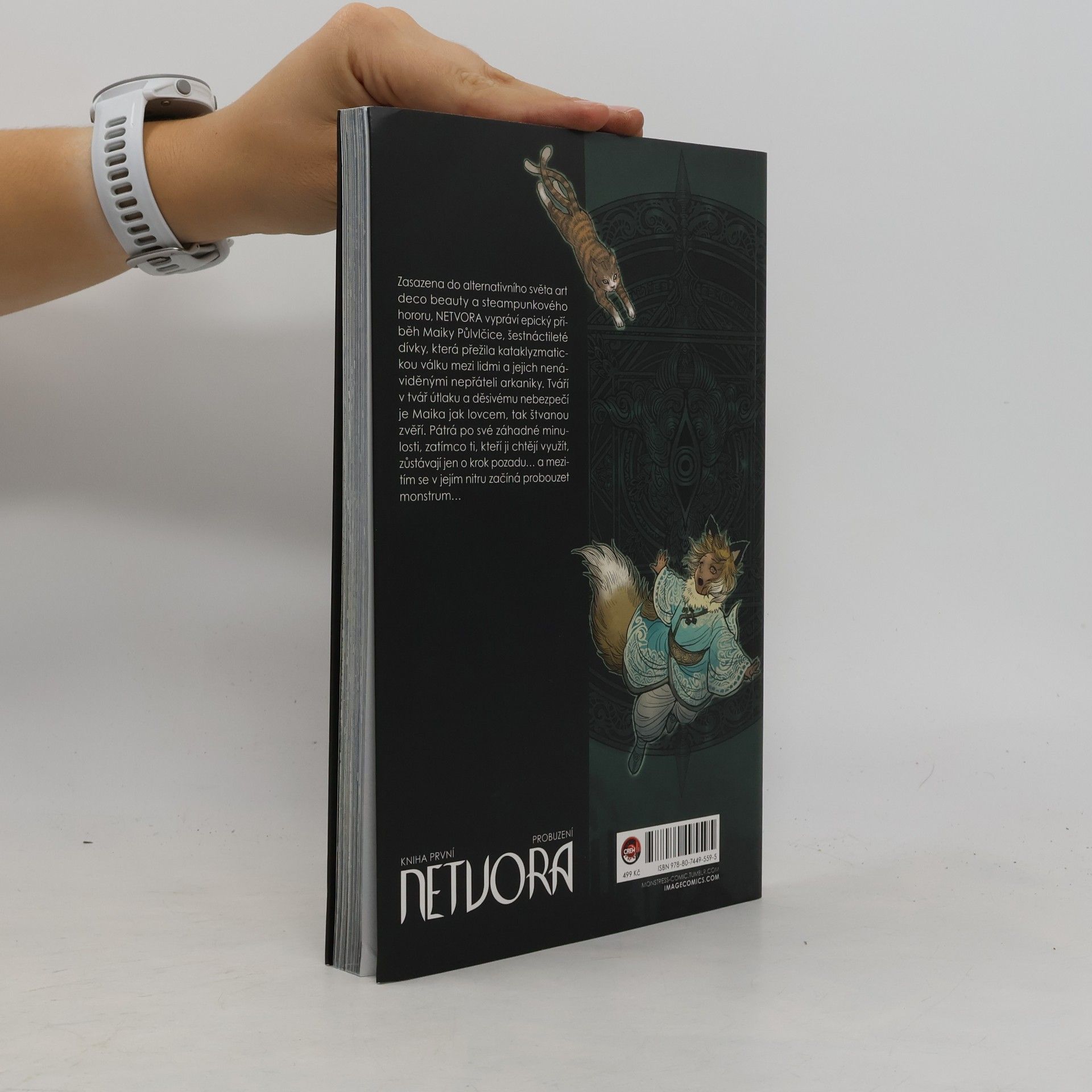Marjorie Liu Netvora. Kniha první, Probuzení