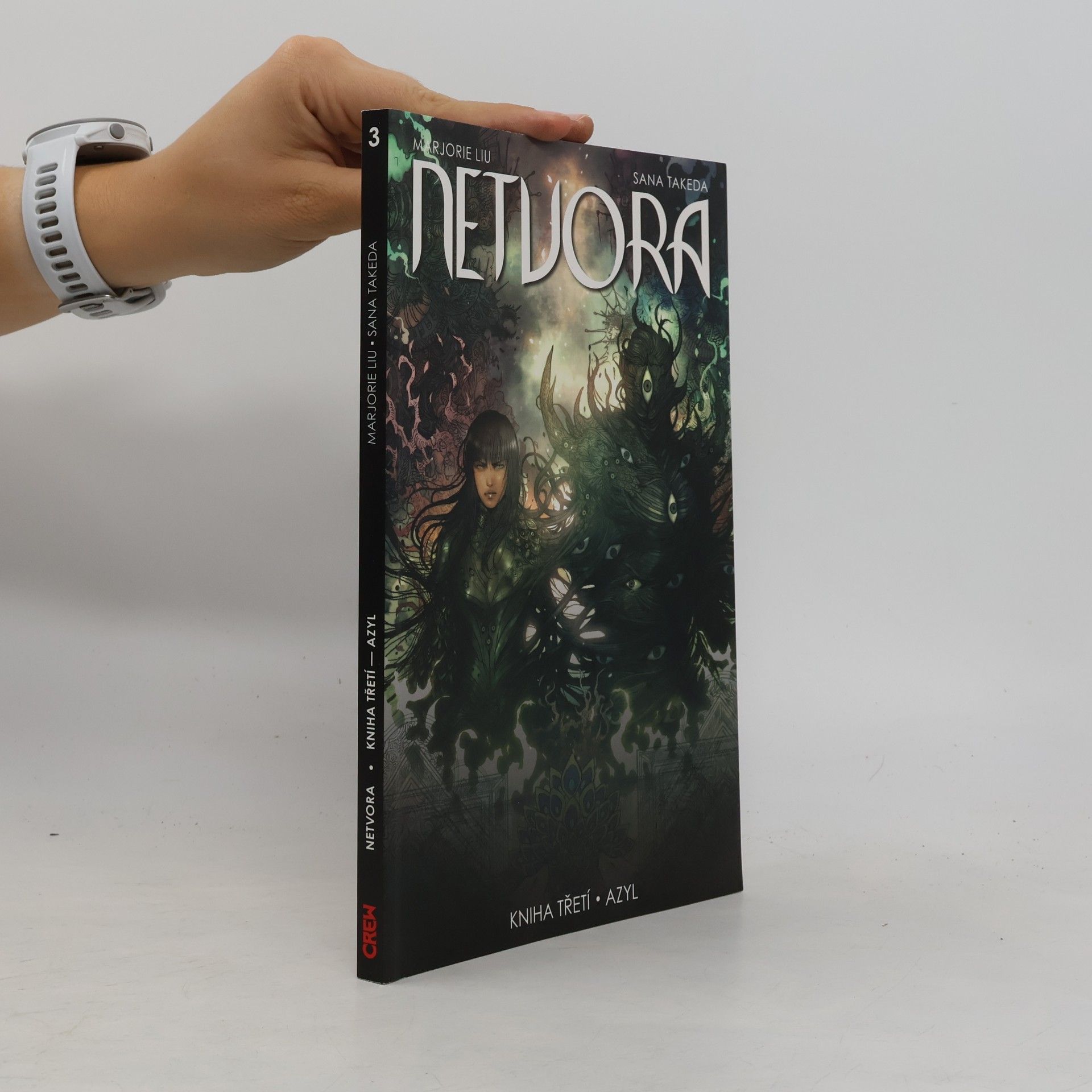 Marjorie Liu Netvora. Azyl. Kniha 3.