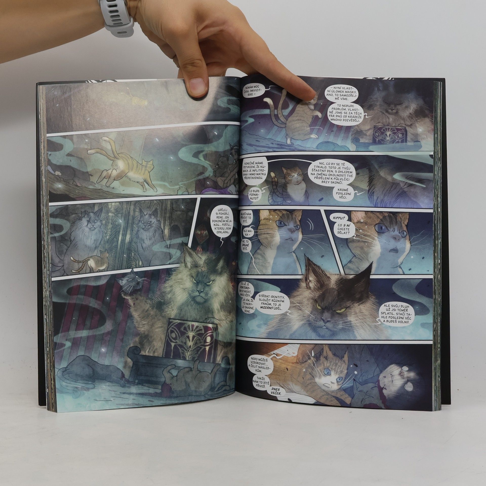 Marjorie Liu Netvora. Azyl. Kniha 3.