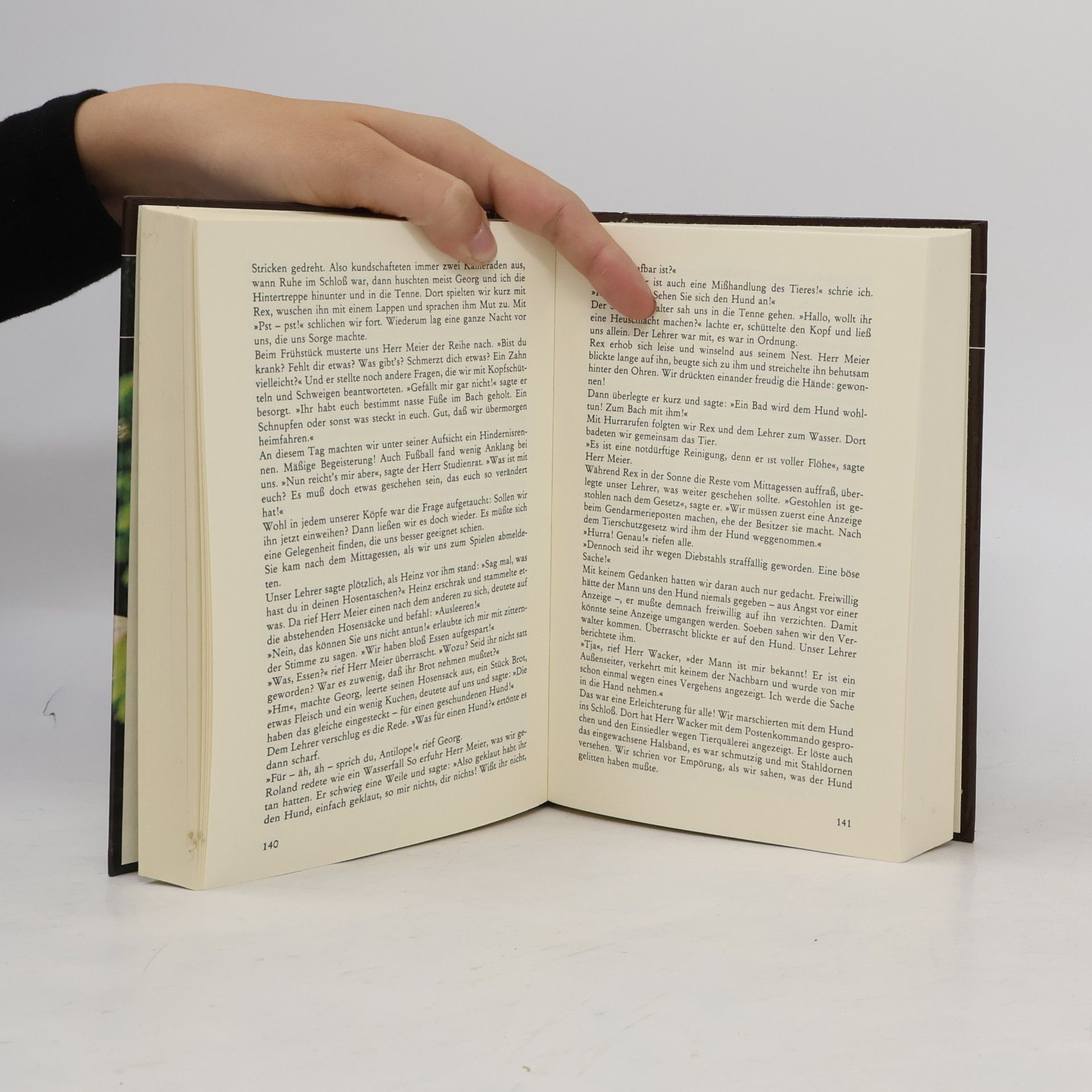 Autorenkollektiv Die lustigsten Lausbuben Geschichten
